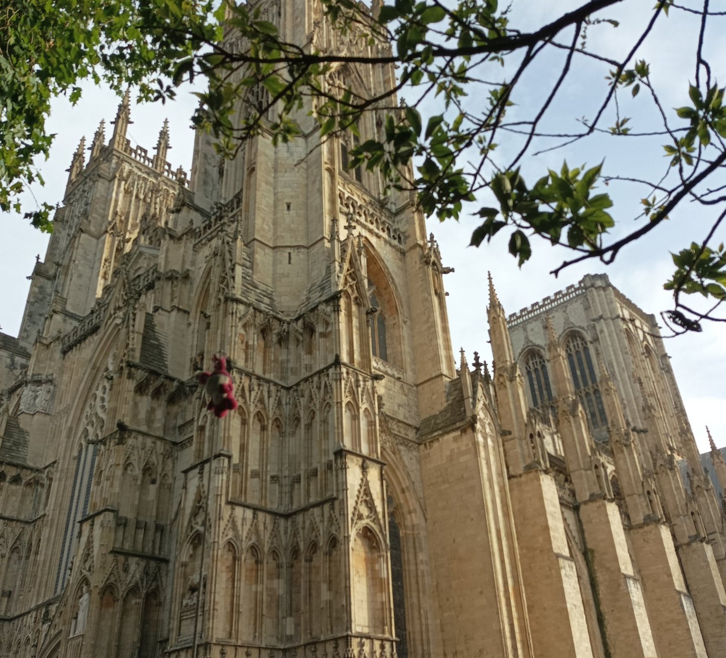 York Minster ... follow the pink teddy !
