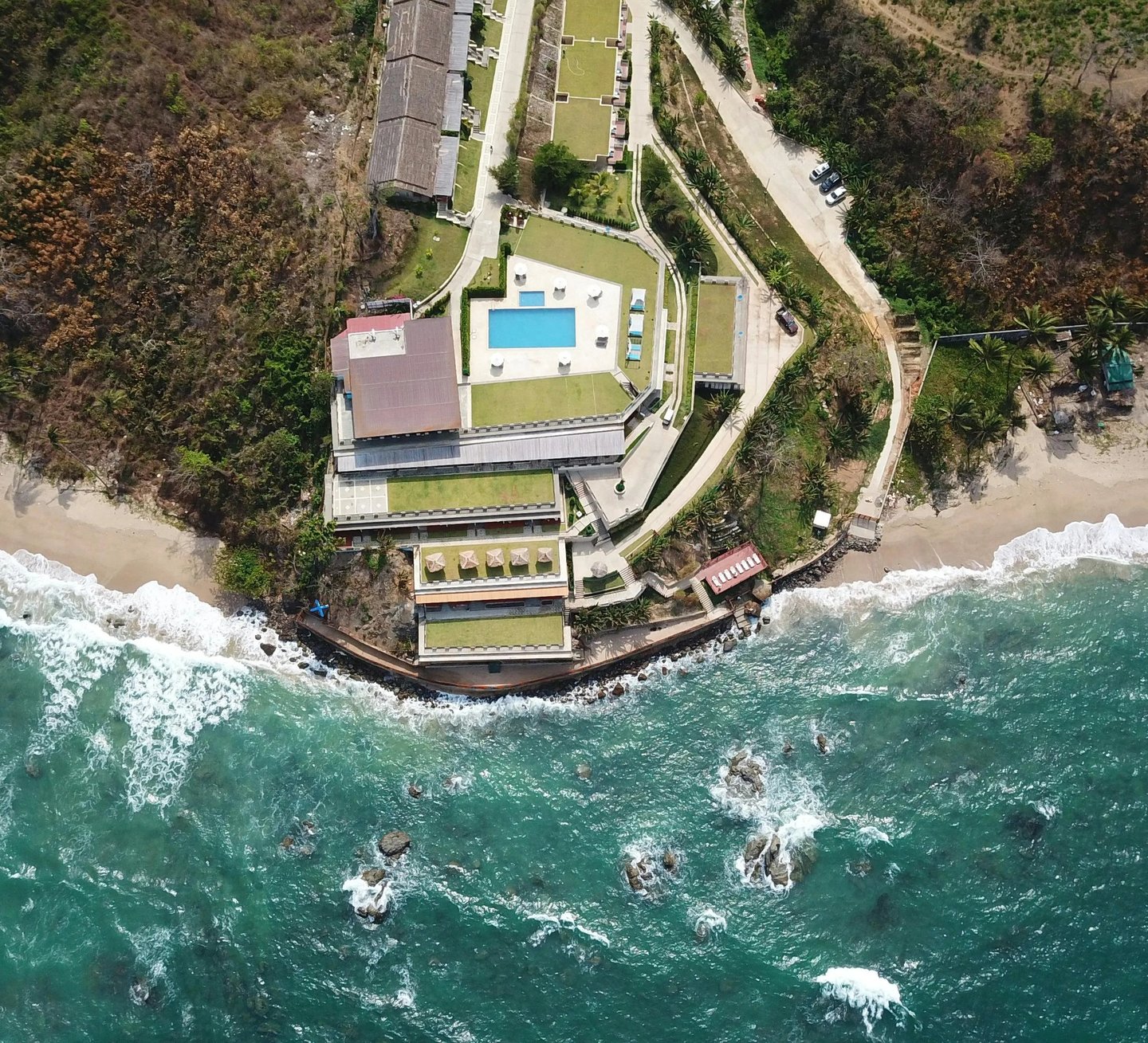 house with palm trees