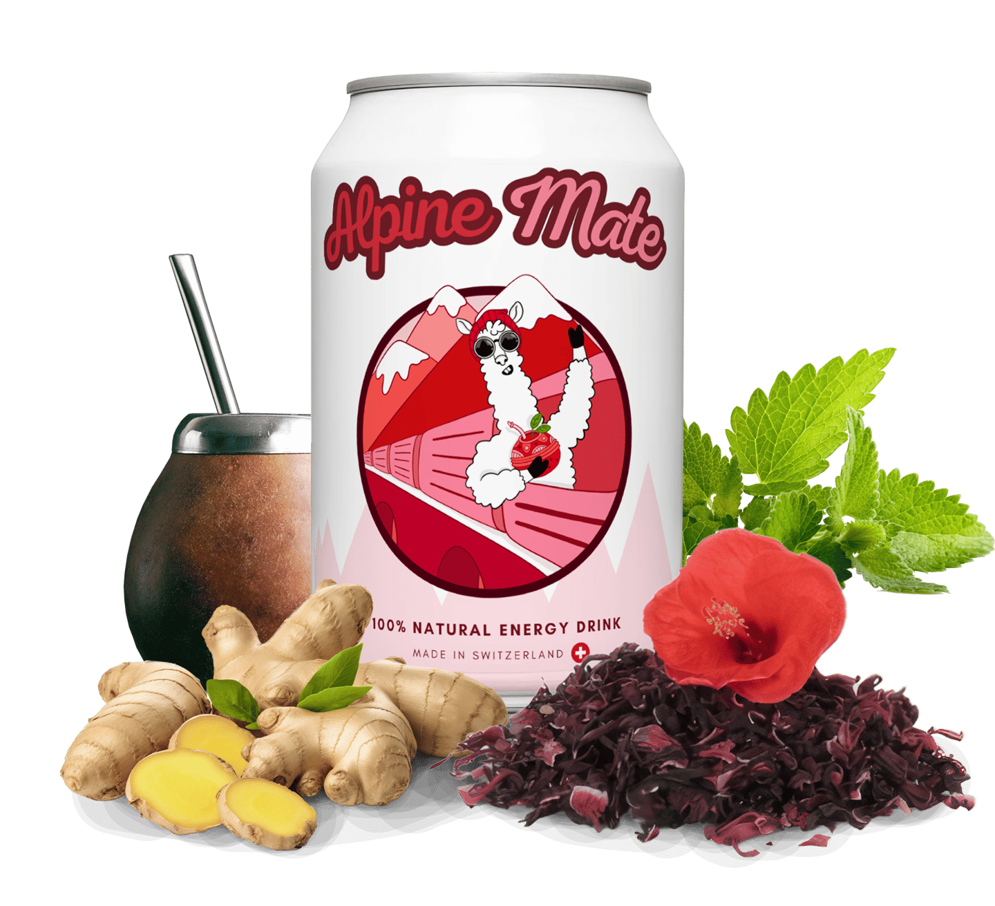 Boisson énergisante Alpine Mate en canette, à base mate, gingembre et fleur d'hibiscus