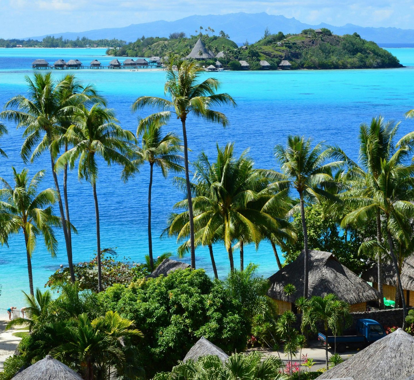 Tropical Bora Bora resort with palm trees, thatched huts, and clear blue lagoon water.