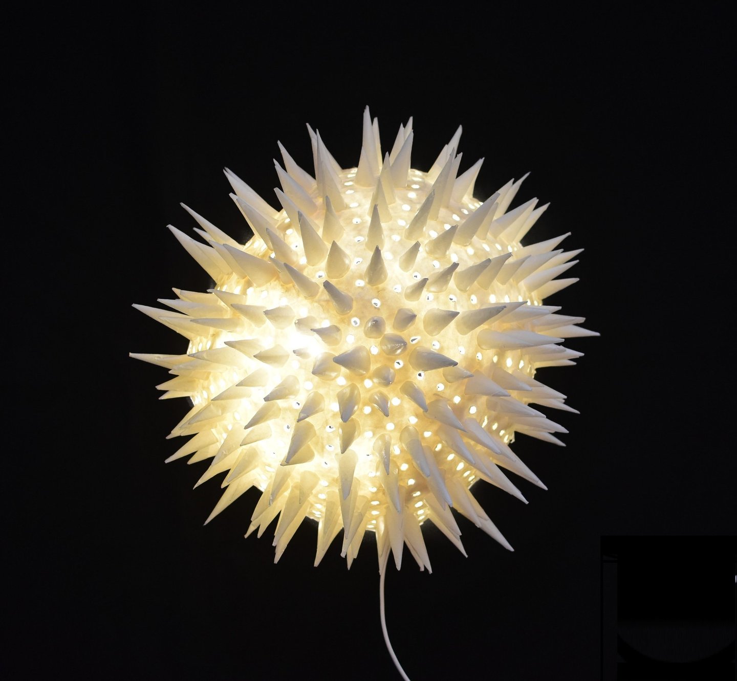 sea urchin paper sculpture