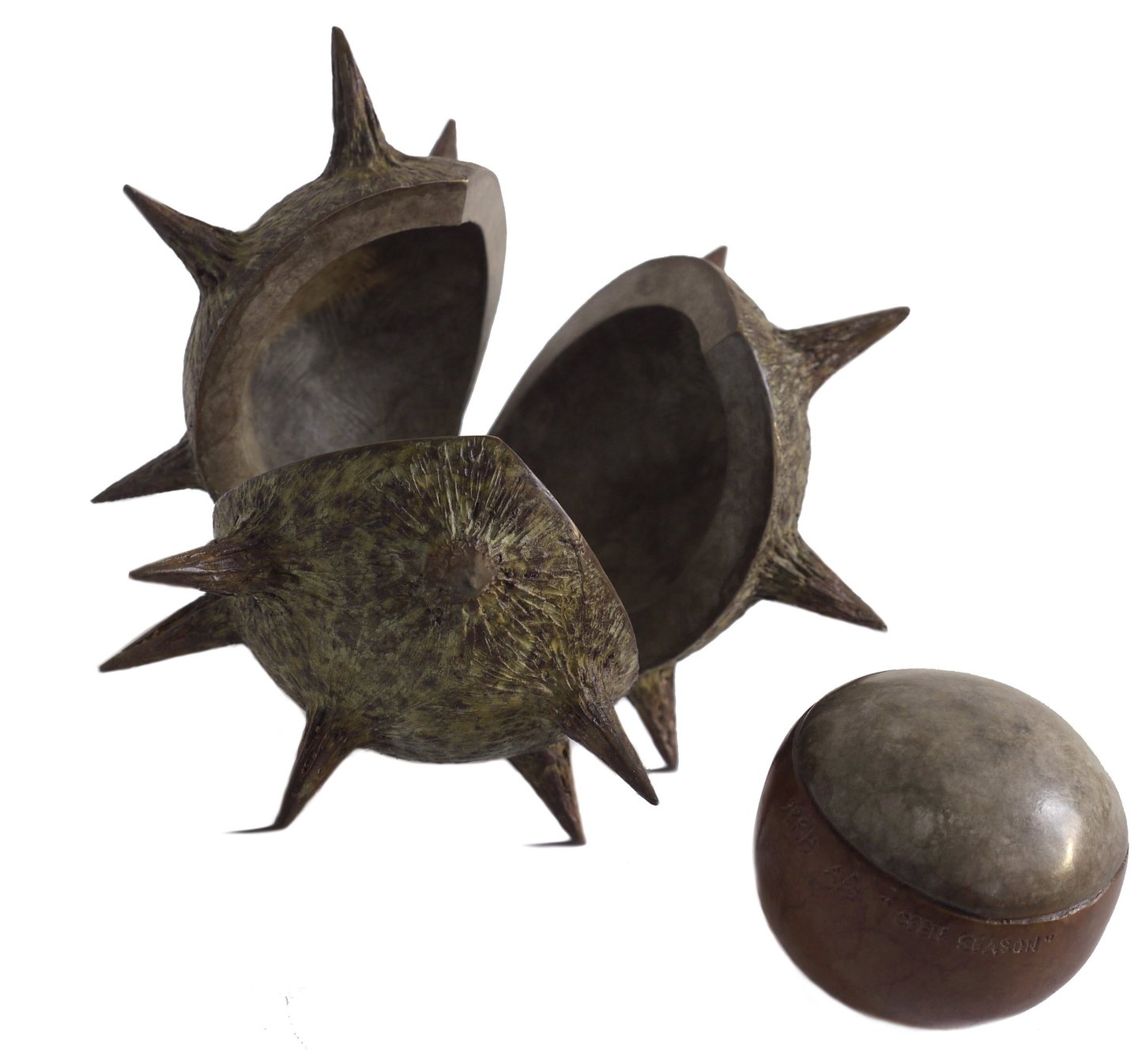 Bronze Sculpture of Horse Chestnut Conker By Mark Richard Hall