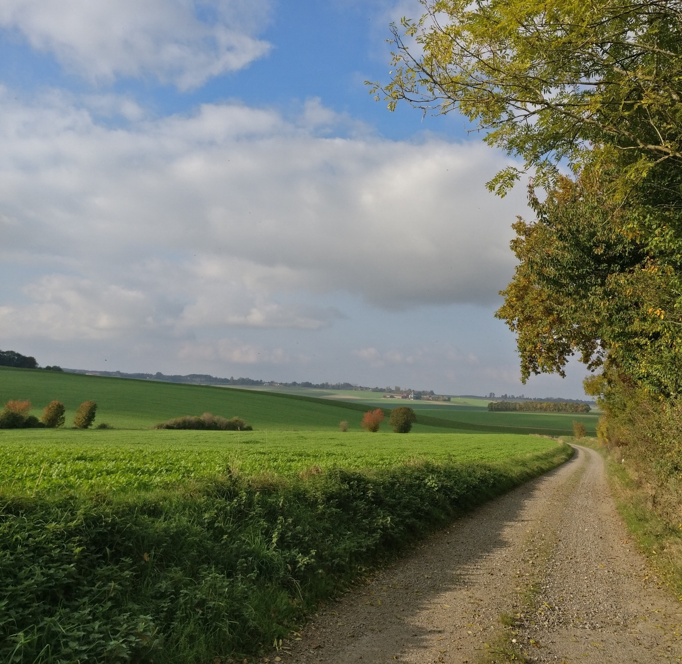 Florence Lemaire chemin vers la sante naturelle