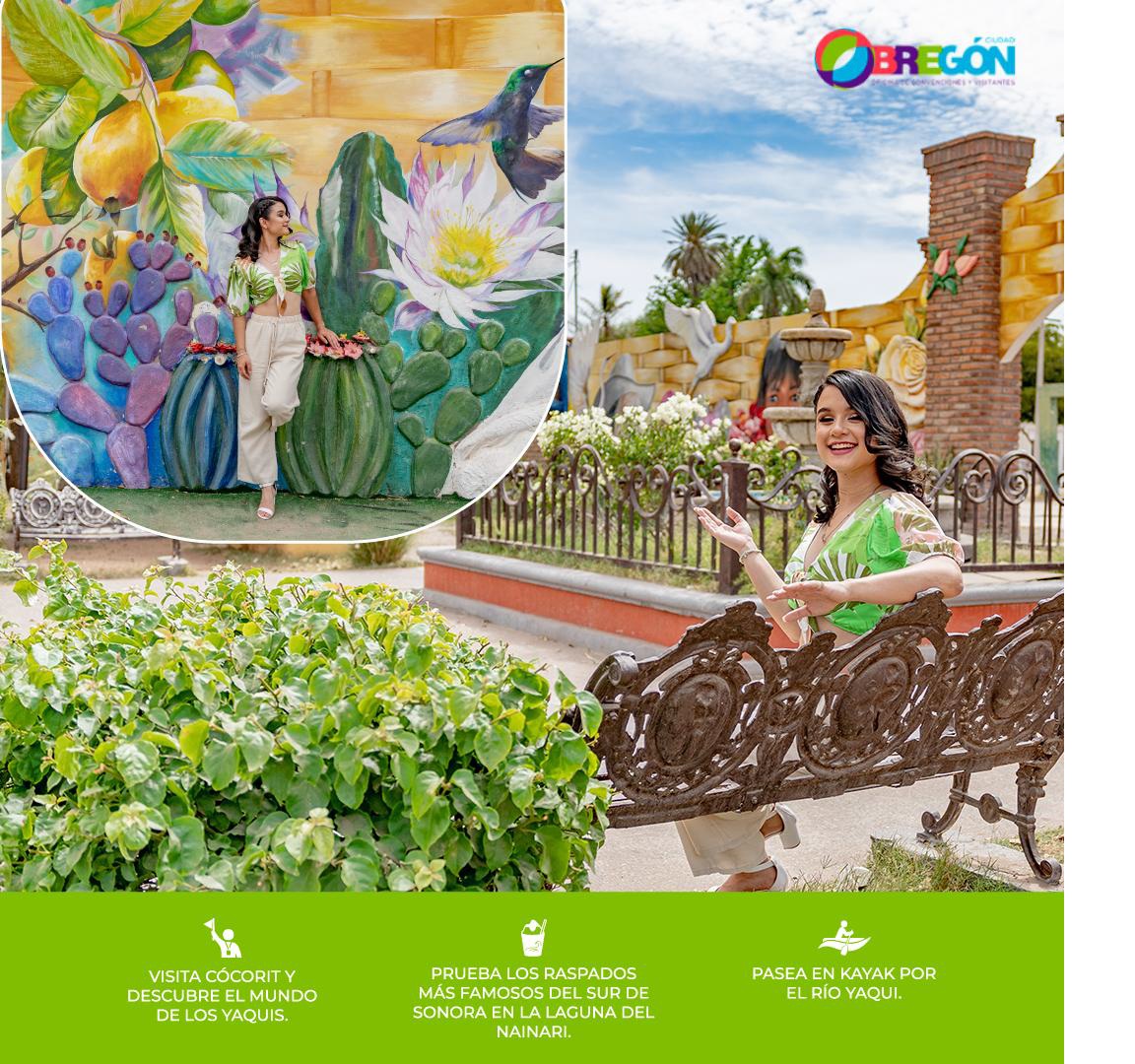 Visit the Nainari lagoon in Obregón, Sonora, and try our shaved ice while enjoying the scenery.