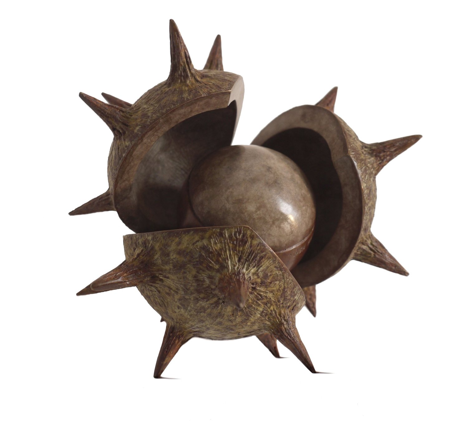 Bronze Sculpture of Horse Chestnut Conker By Mark Richard Hall