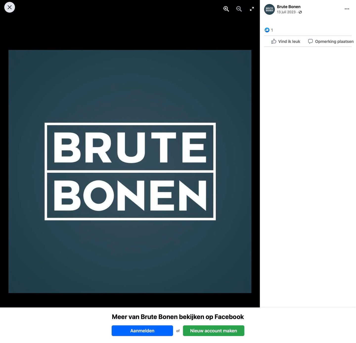 Logo BRUTE BONEN
