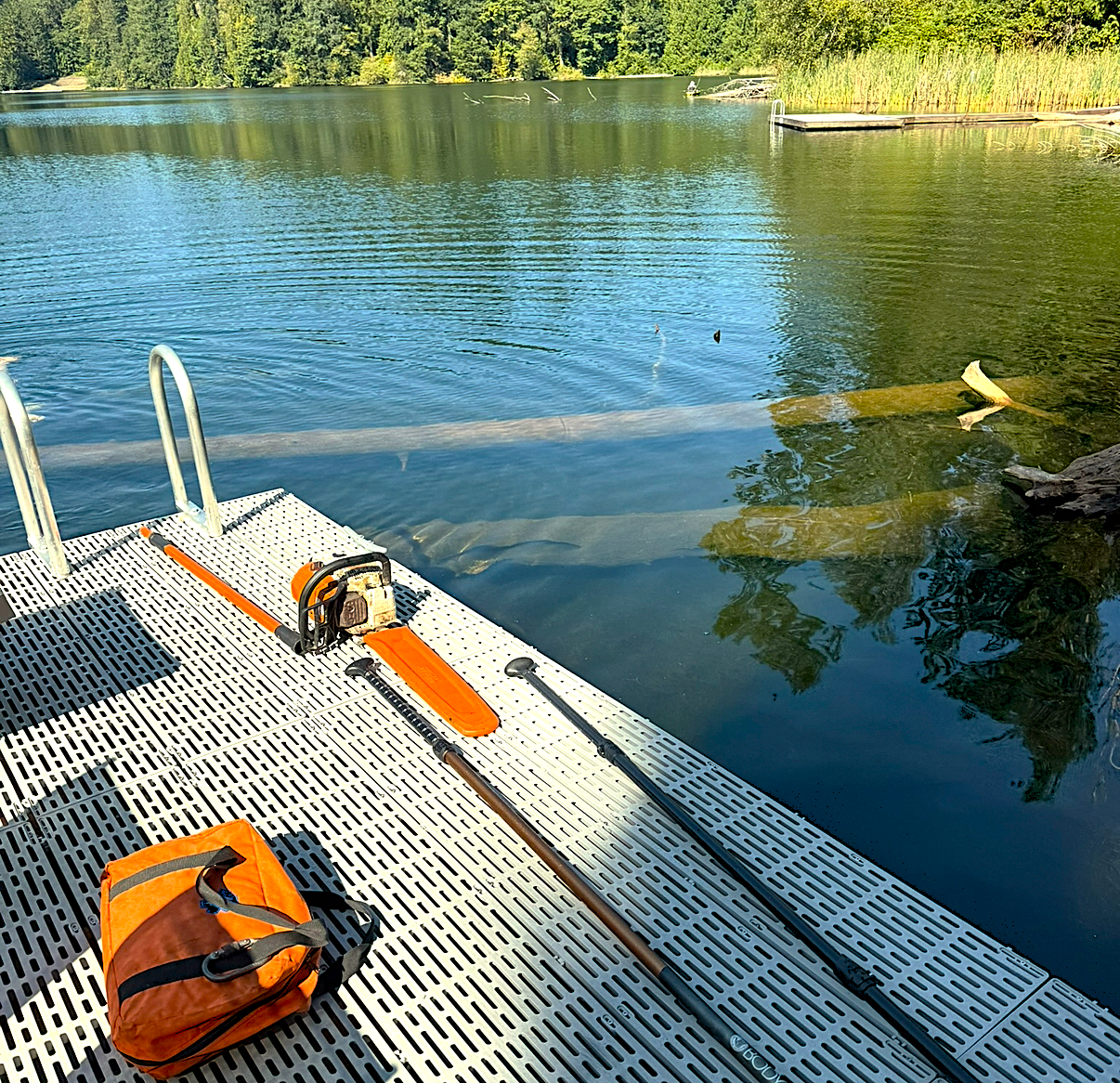 Tree service in northern King County removing tree trunk hazard in water