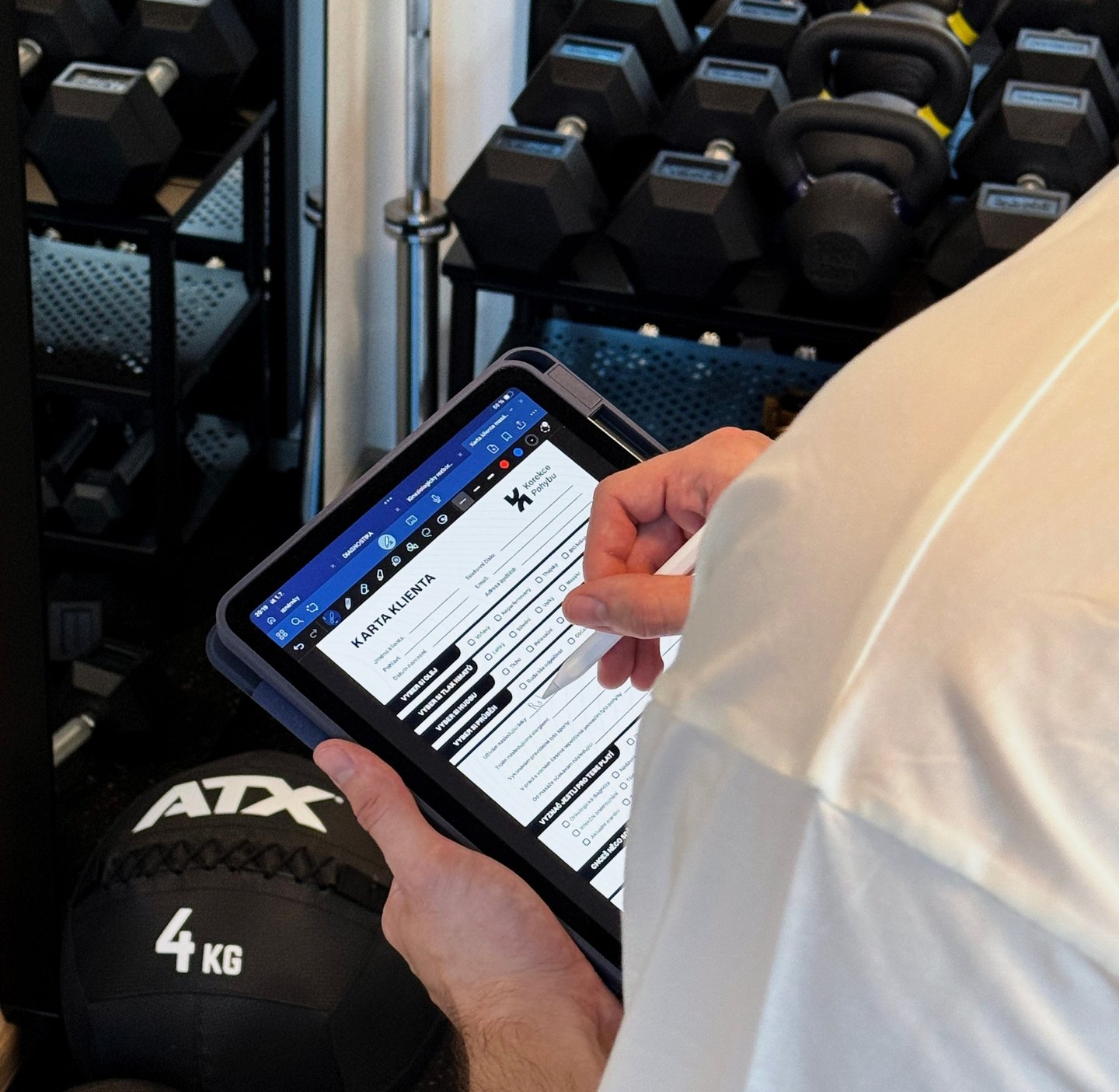 diagnostika holešov