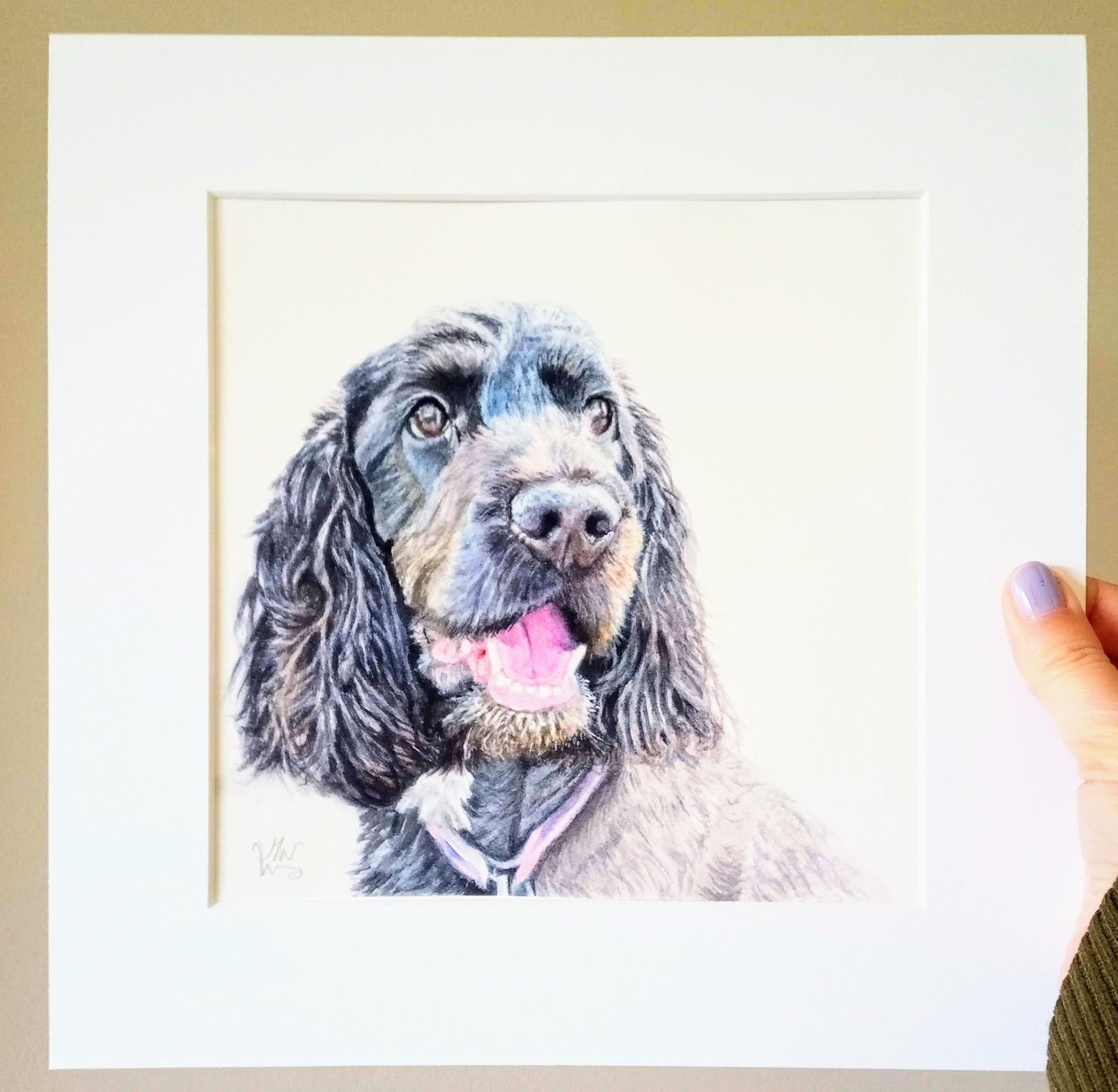 Cocker Spaniel Pet Portrait