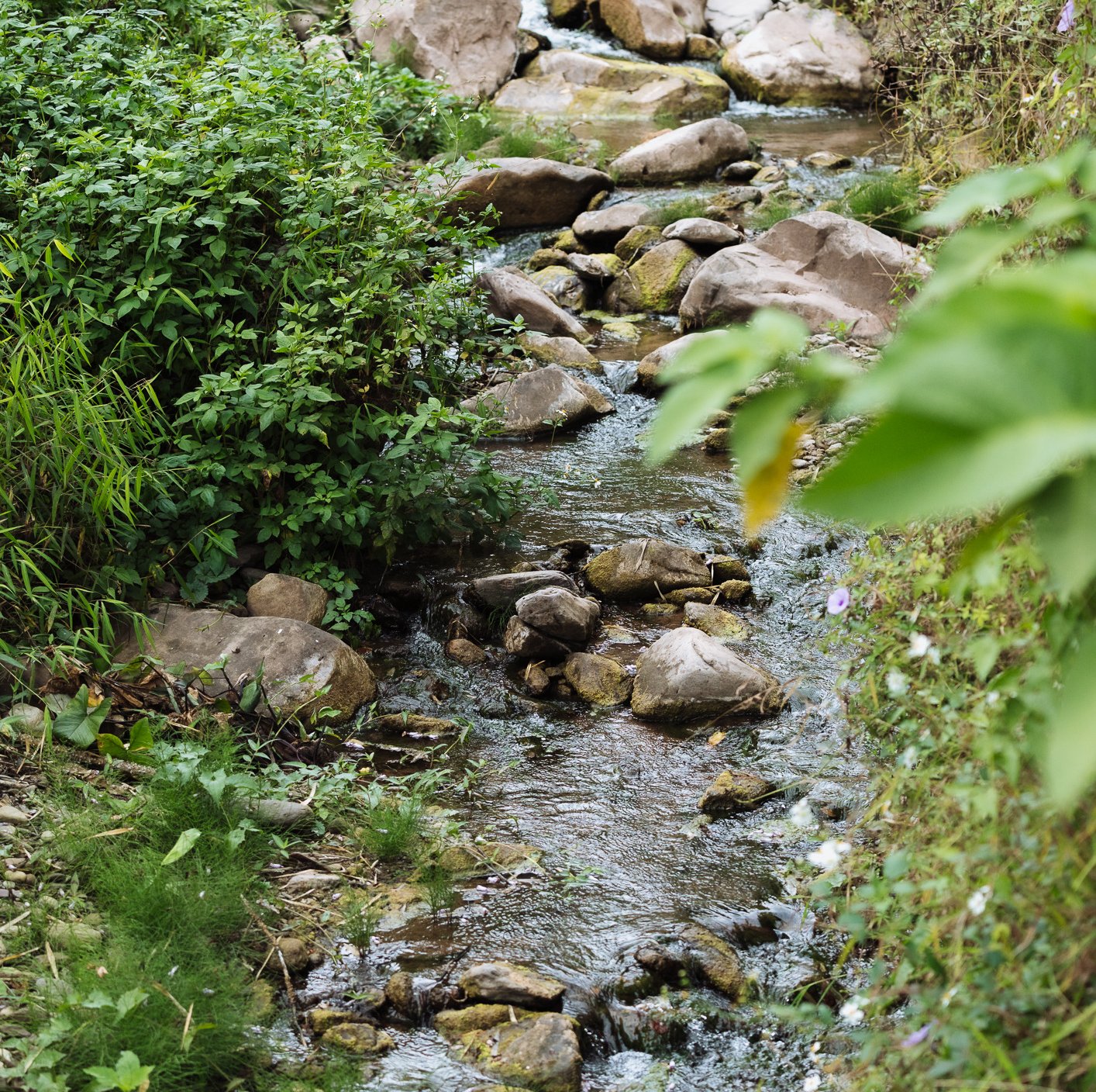 เช่ารถเที่ยวน่าน พร้อมช่างภาพ บริการพาเที่ยวพร้อมถ่ายภาพสวยๆ