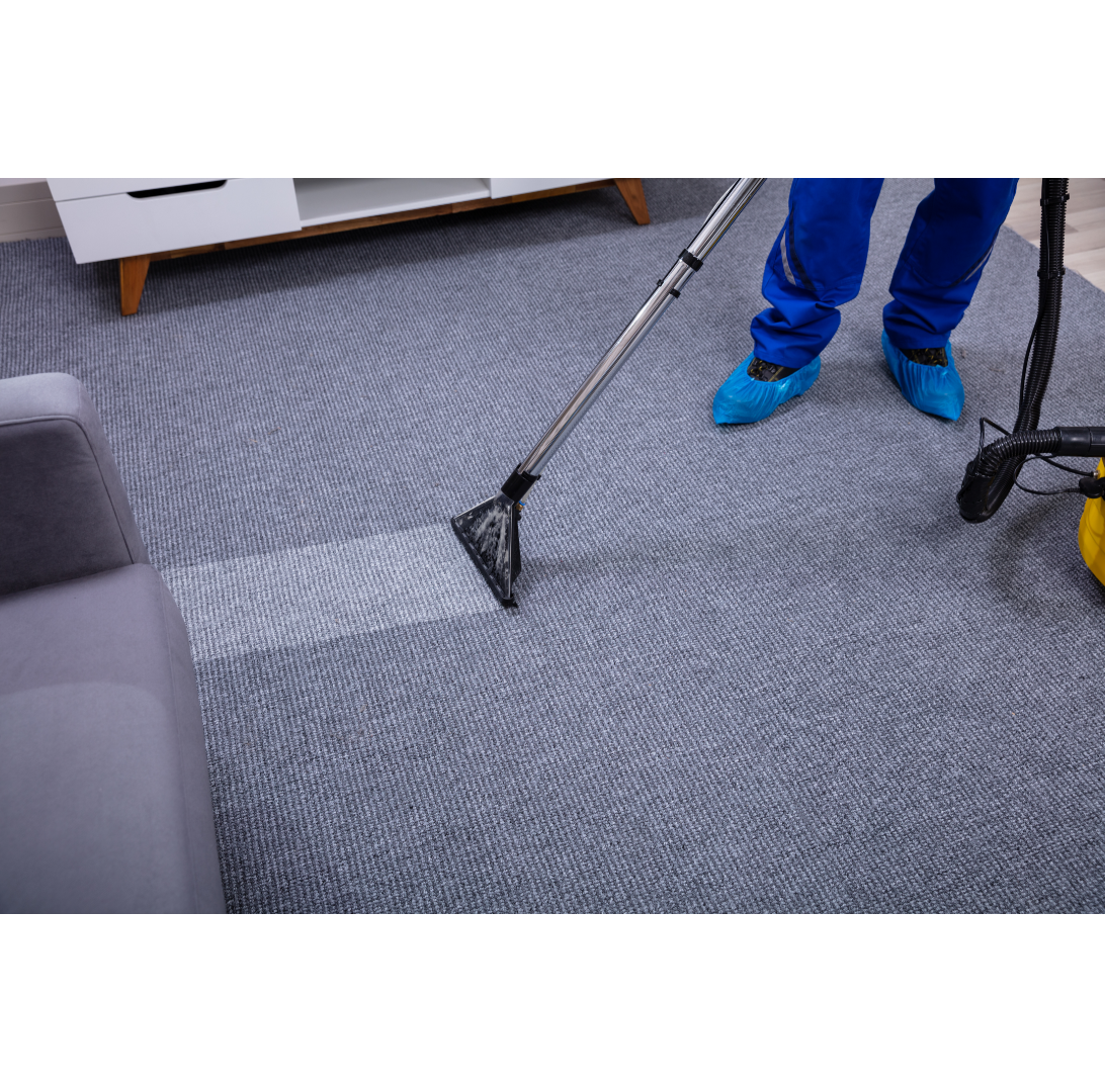 Professionally cleaned carpets CleanX Pro commercial cleaning