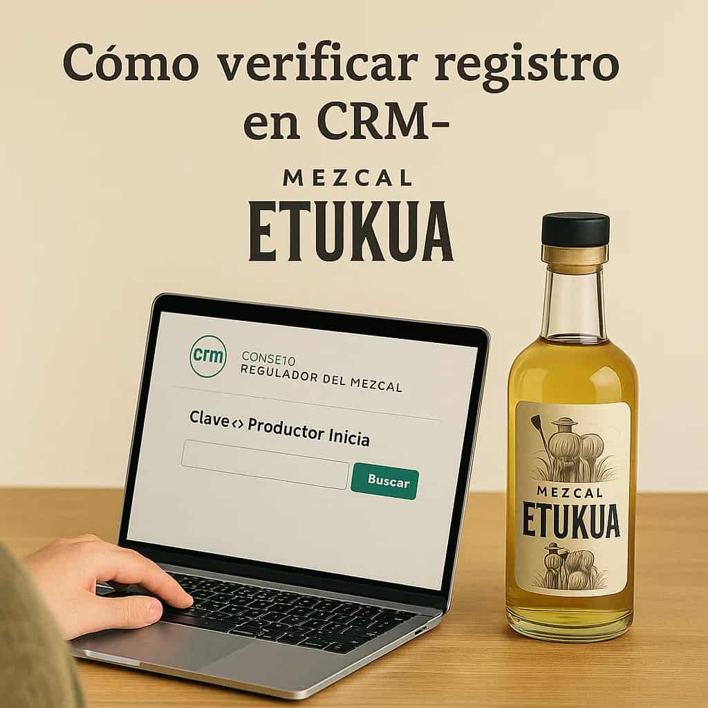 Persona verificando registro de productor en sitio web del Consejo Regulador del Mezcal