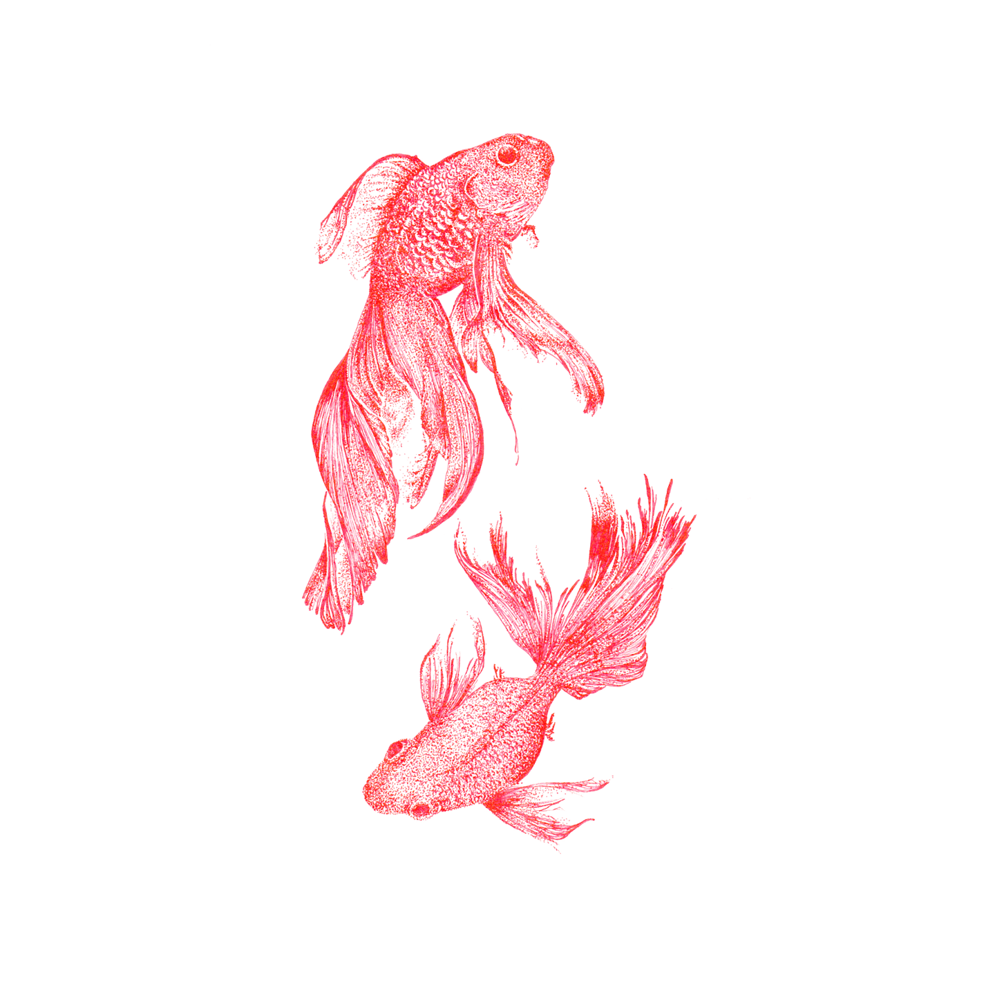 Poissons japonais de couleur rouge dessinés en "DOT"