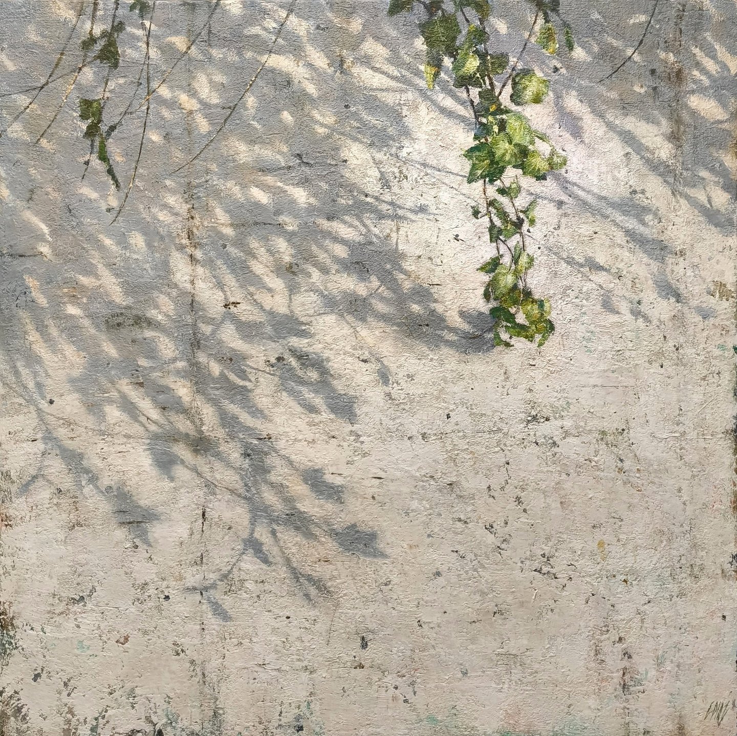 WALL STORY 80 X 80 