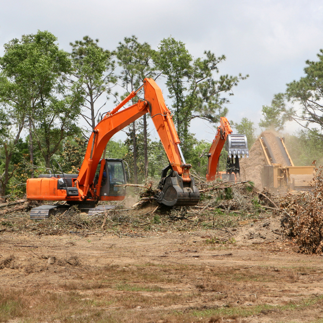 diggers removing fallen trees