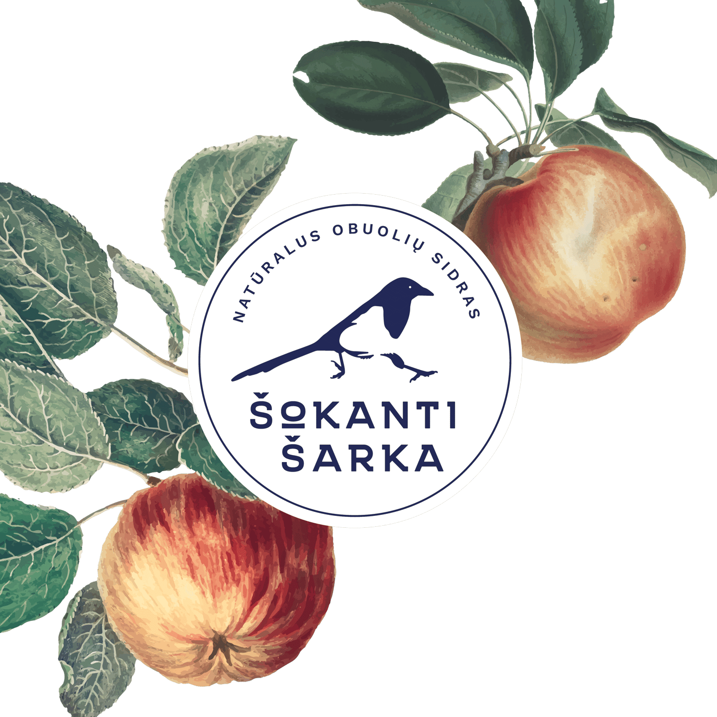 apple tree with ripe apples and a logotype with dark blue magpie