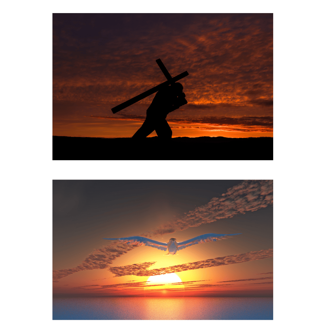 Pigeon volant au coucher du soleil, coucher du soleil, Saint-Esprit