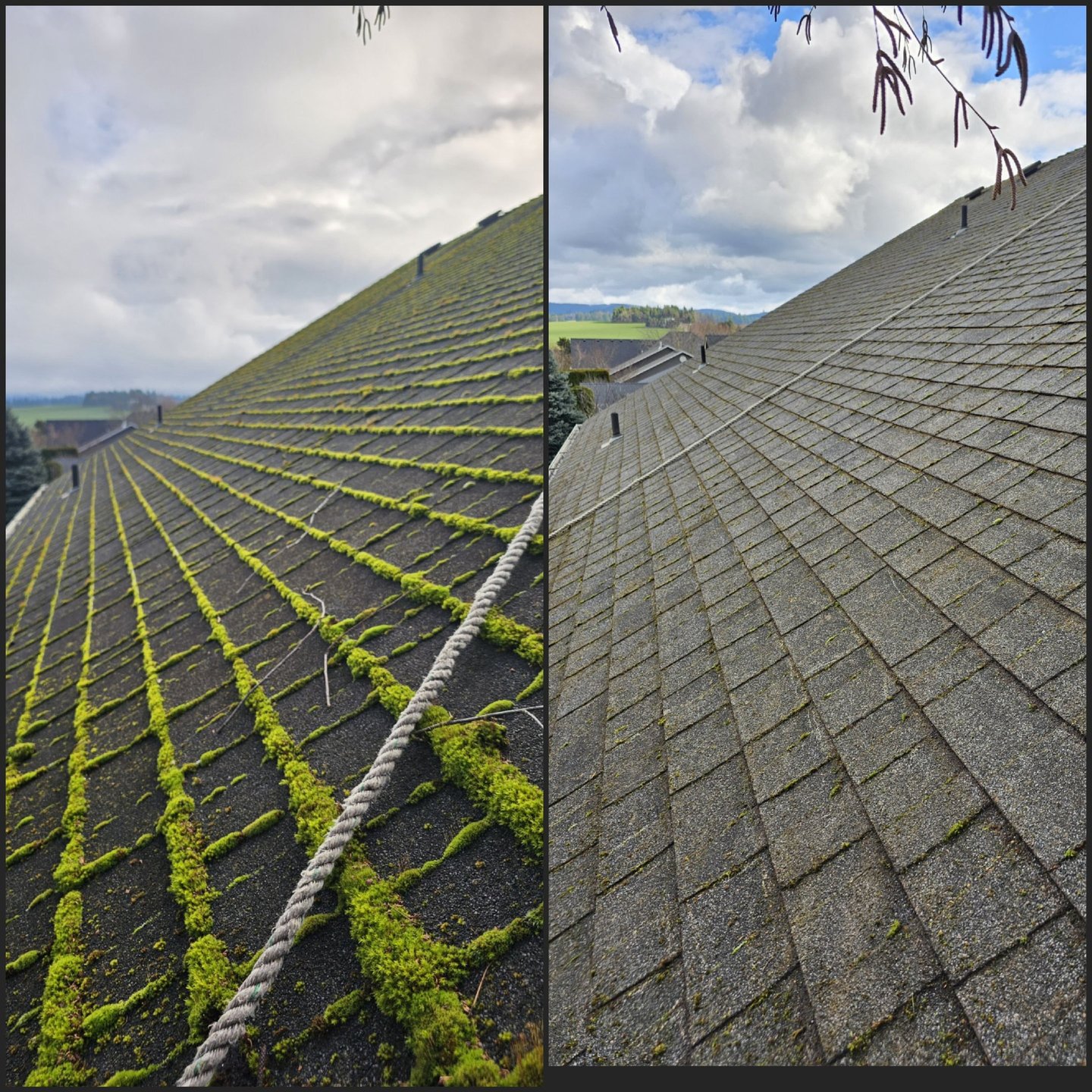 a roof with moss growing on the roof and then the moss got removed.