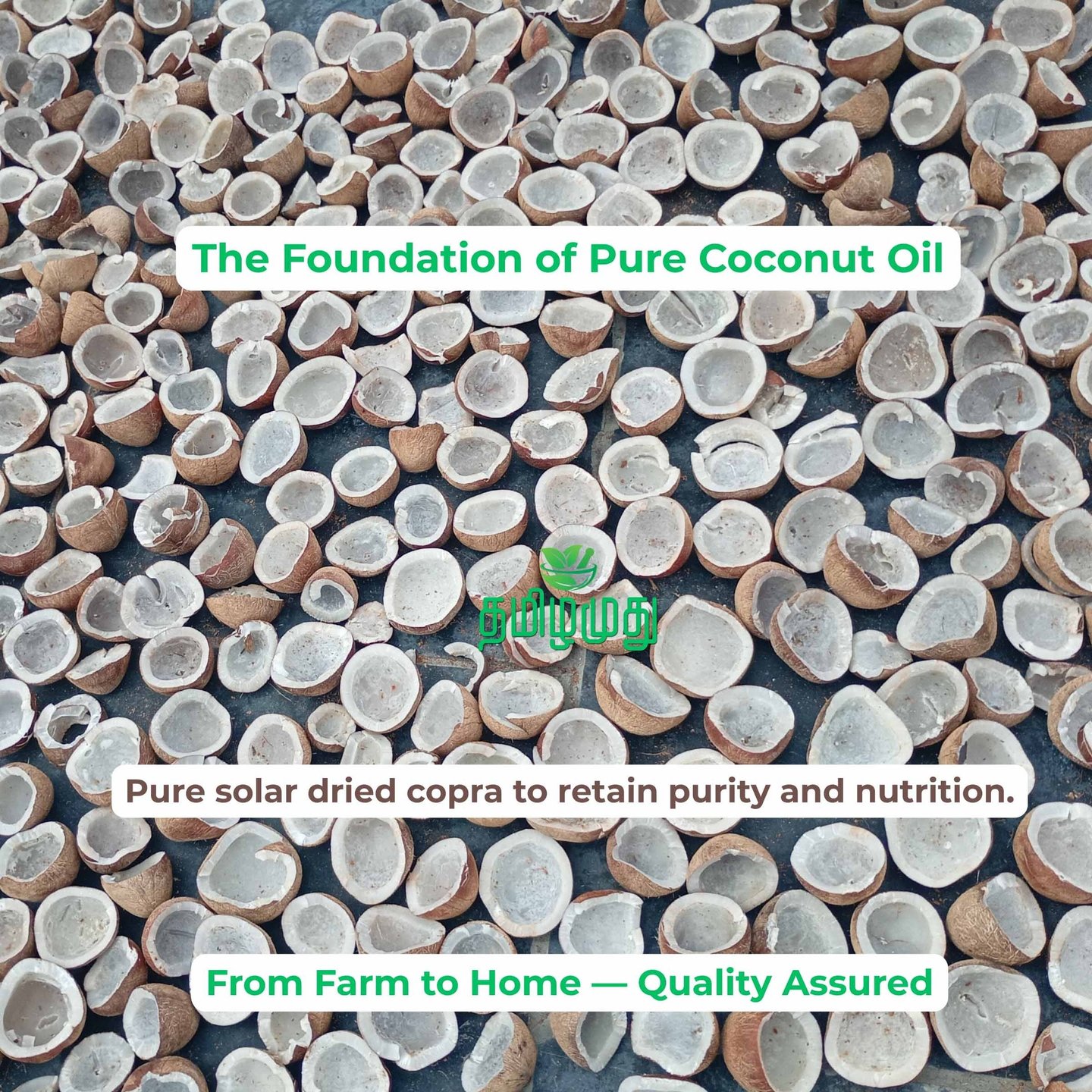 Tamilamuthu Pure Solar Dried Copra from pollachi