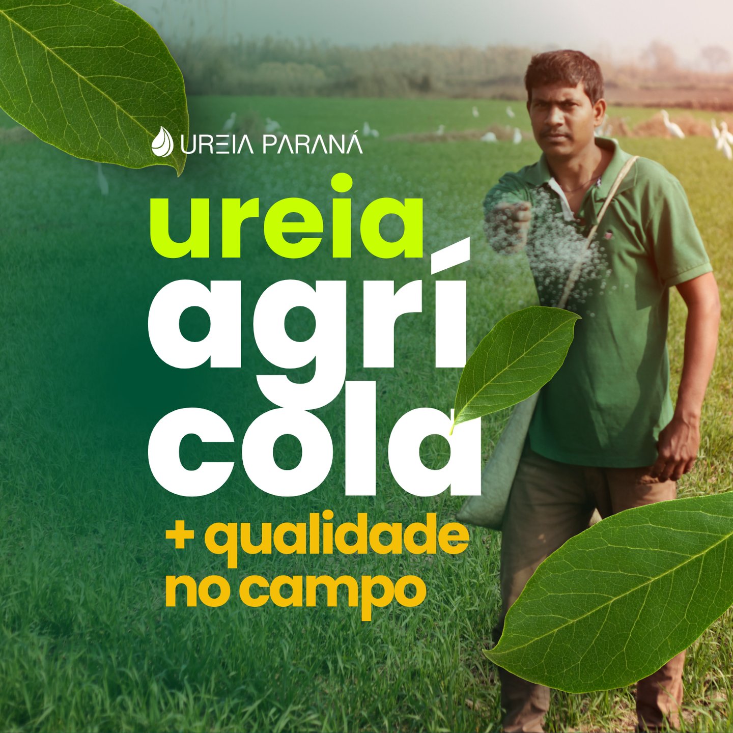 Ureia agricola - ureia parana