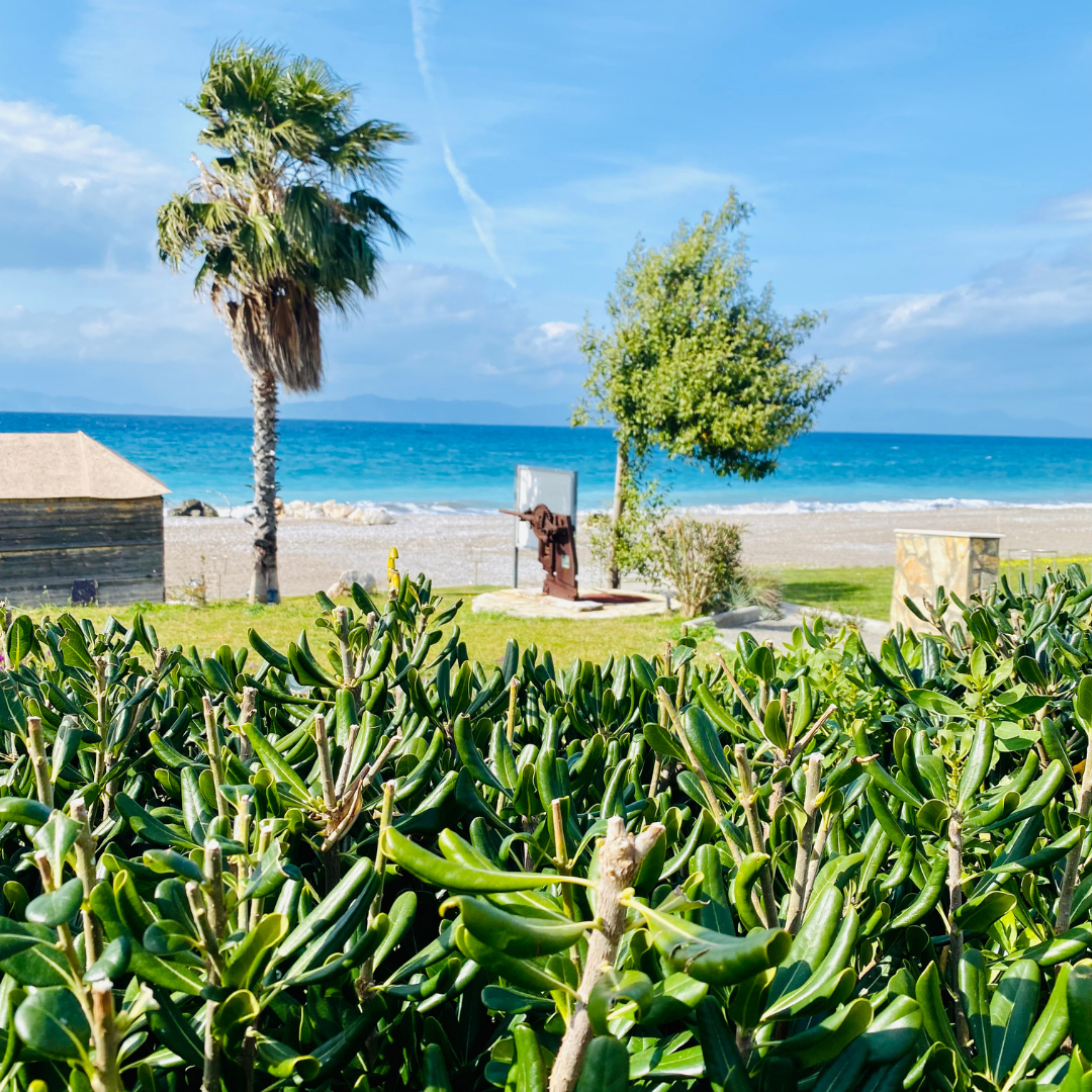 Tropical beach landscape with green shrubs, palm trees, and a coastal view of the turquoise Mediterranean sea.