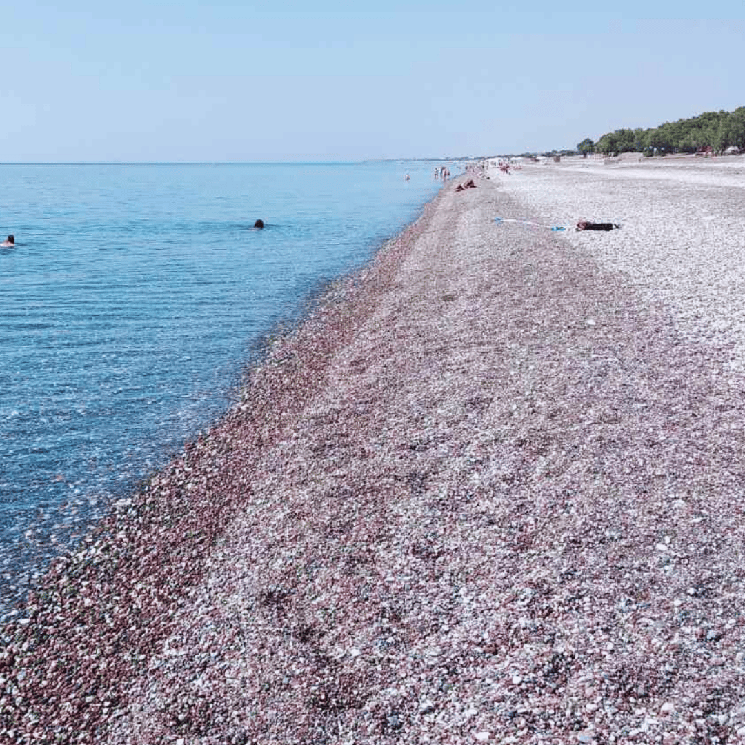 a beach with people swimming in the water
