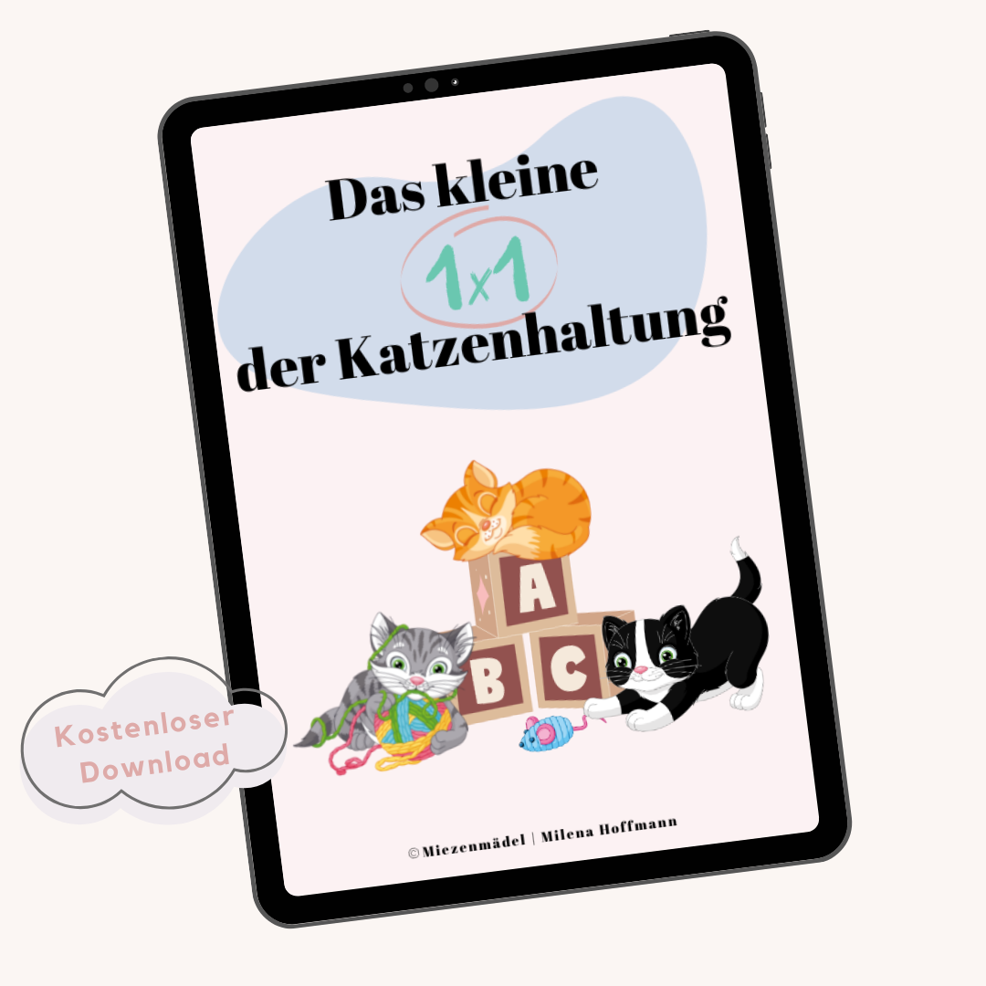 Ein Tablet mit einem Buchcover, auf dem spielende Katzen zu sehen sind