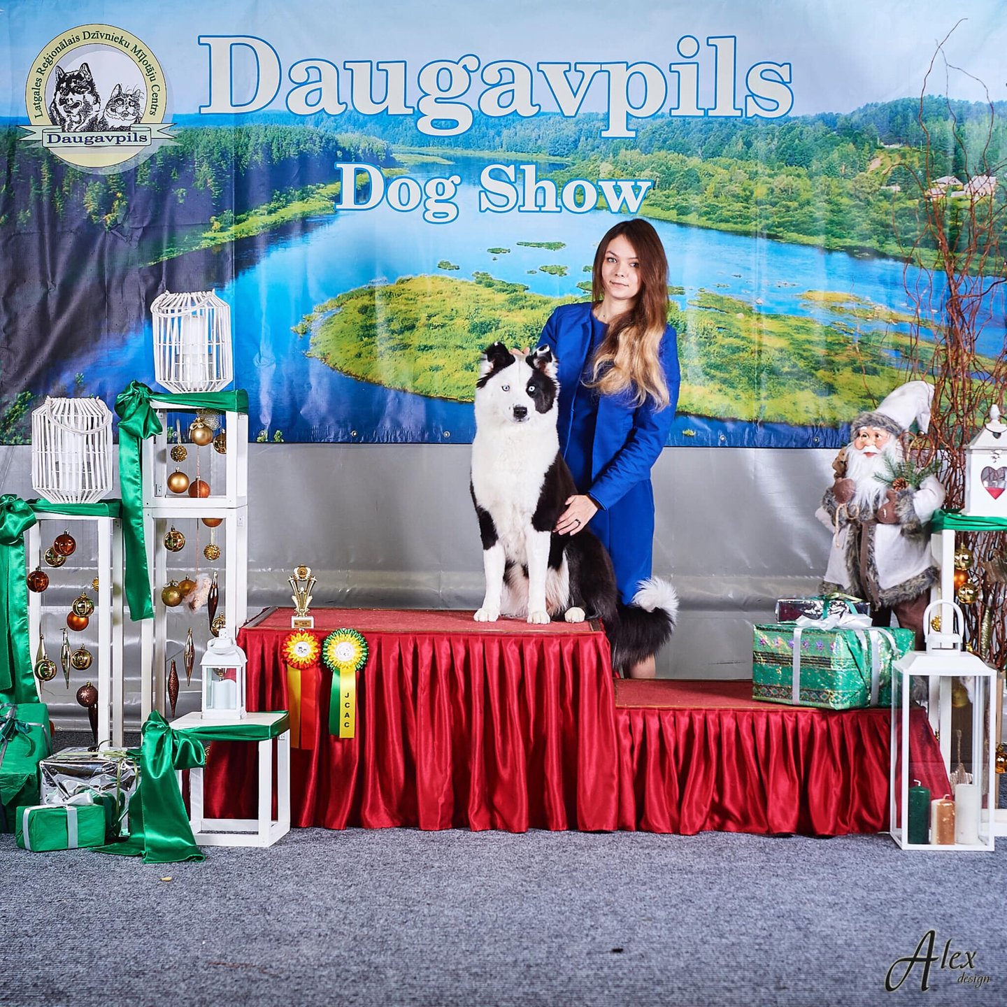 Yakutian laika breeders