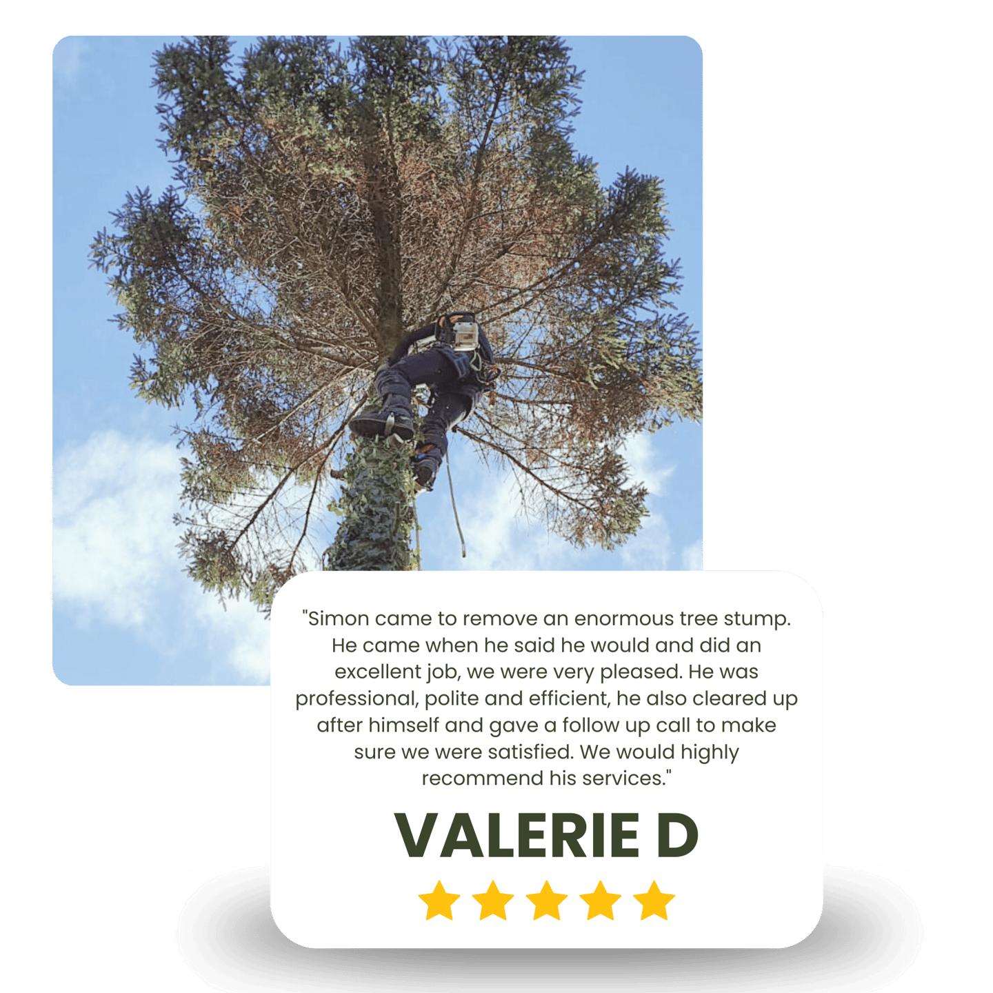 5 star review for LDT