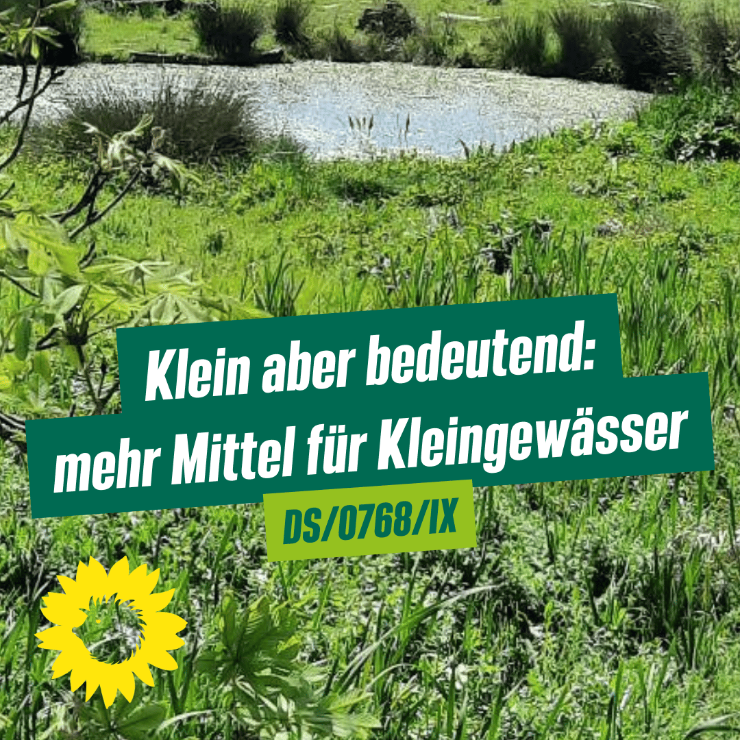 Sharepic zum Antrag mit dem Foto einer Wiese und einem Kleingewässer im Hintergrund.