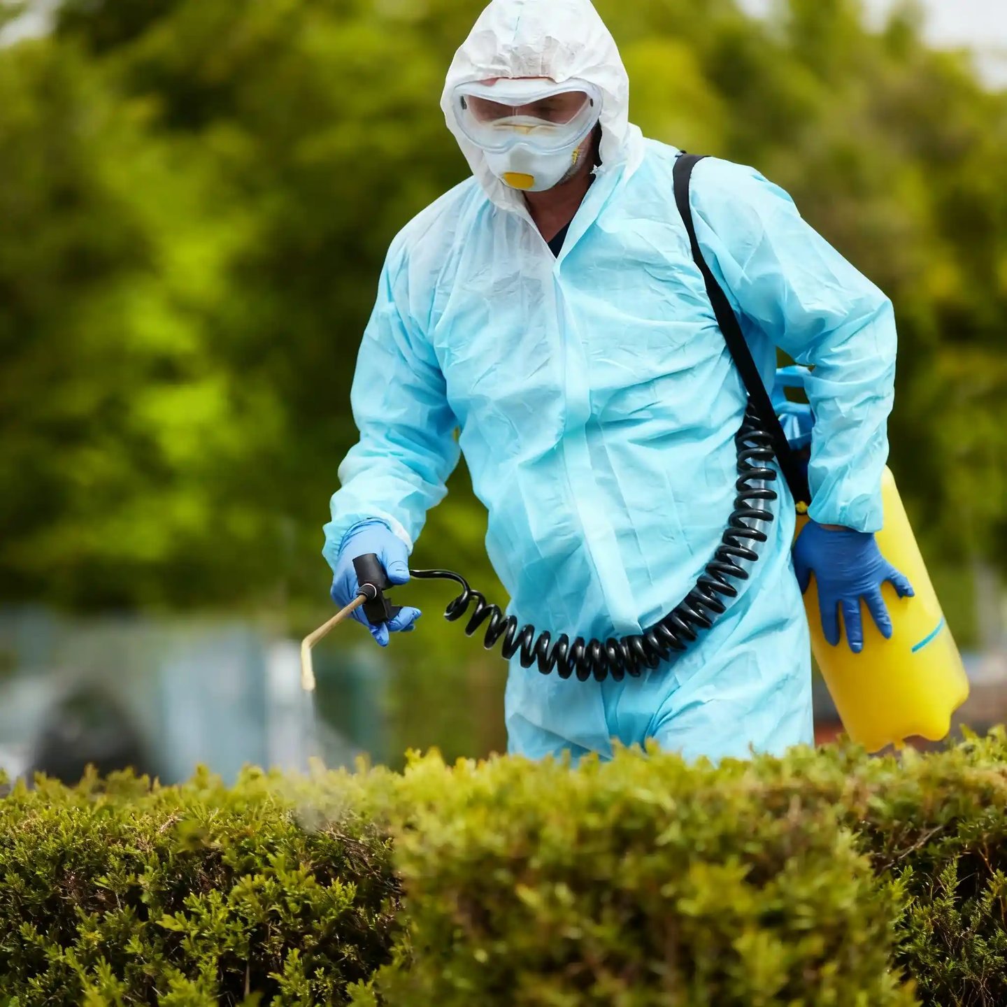 Wasp nest removal expert in beekeeper suit preparing to apply treatment