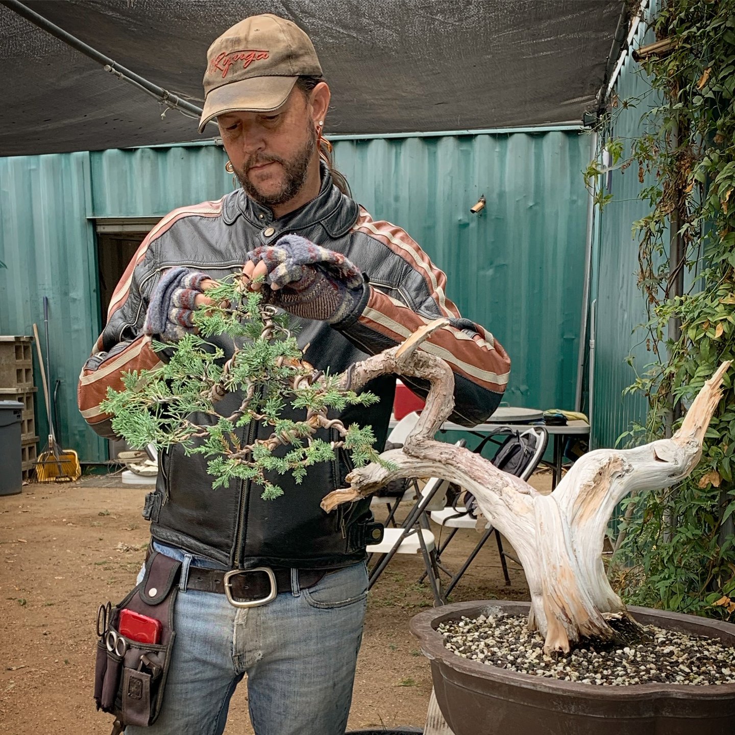Colin Purcell wires a juniper bonsai tree