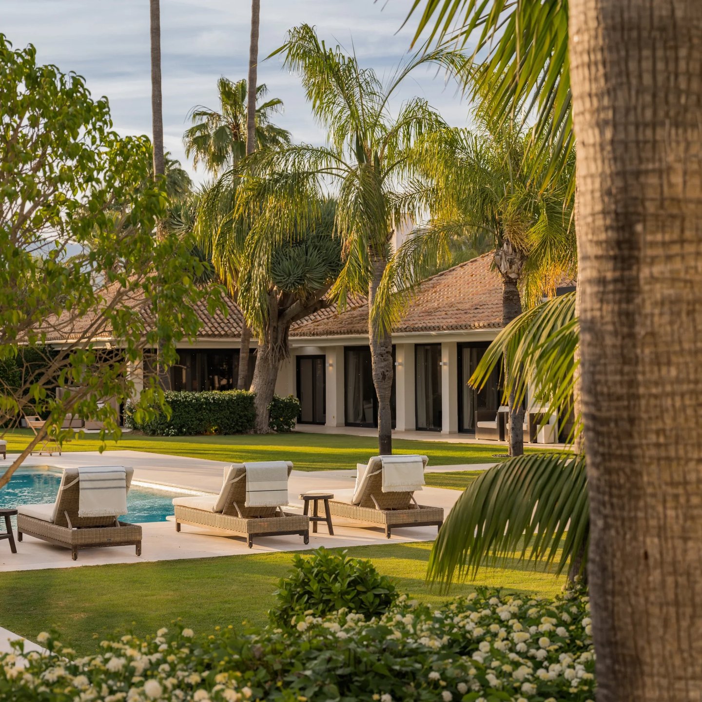 Pool terrace framed by palm trees and greenery