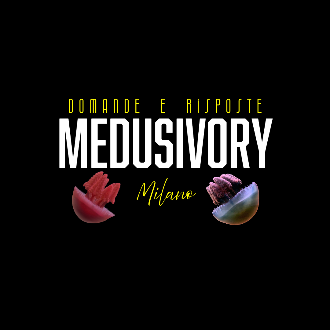 #medusivorymilano