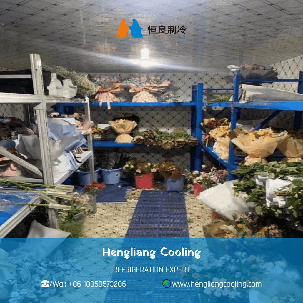 lower storage cold room for fresh cut flower preservation