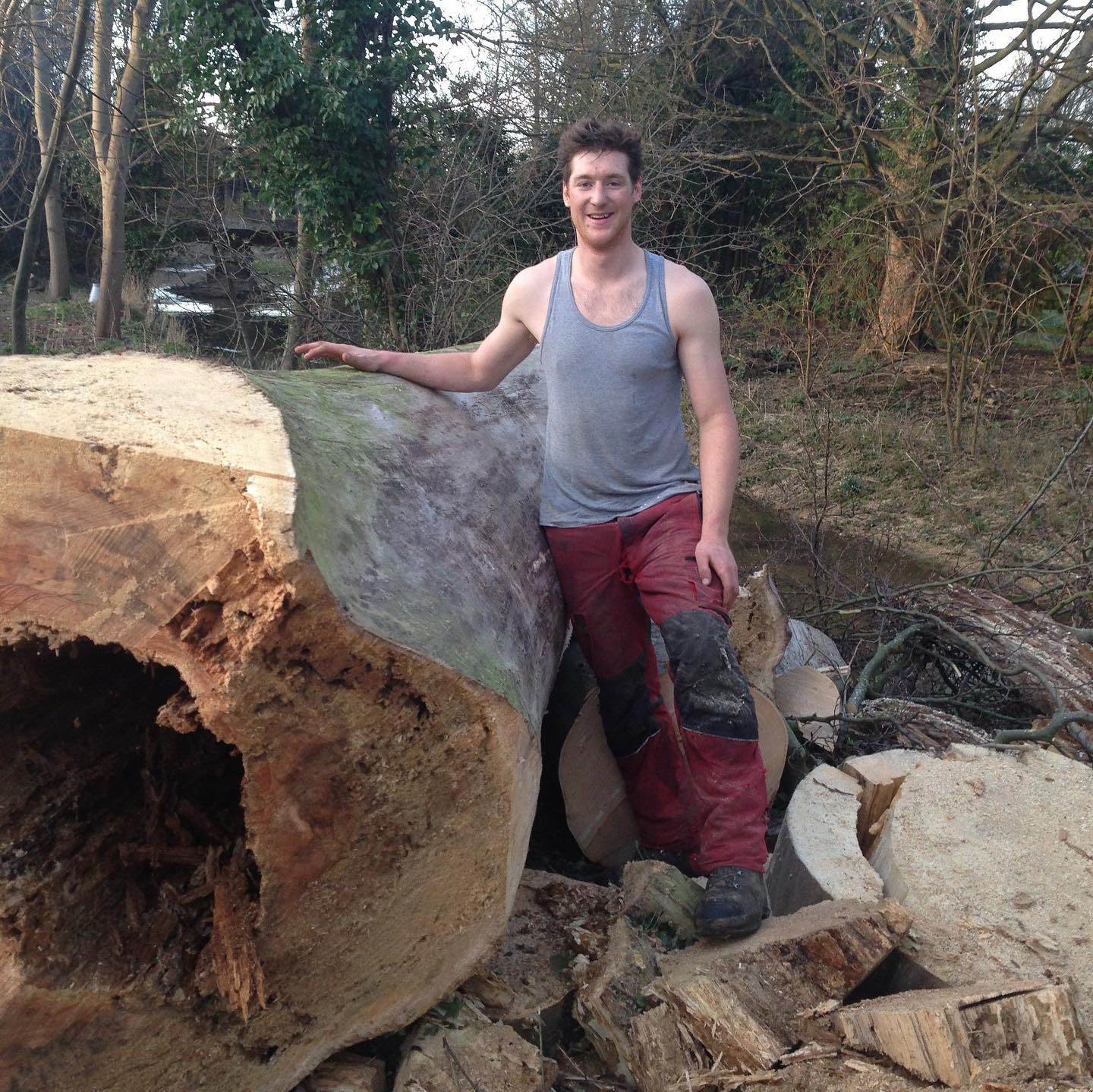 quercus tree specialists