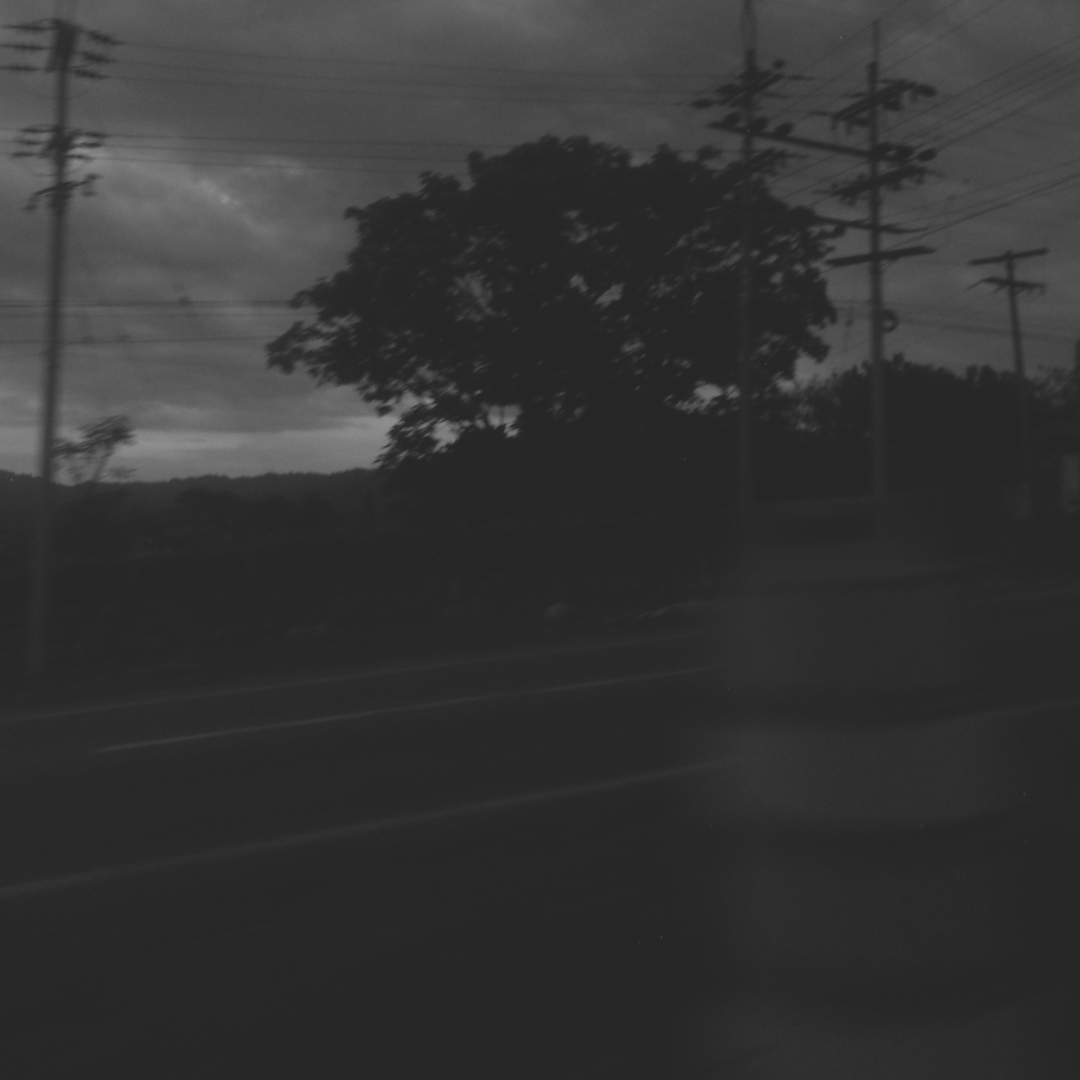 Paisaje oscuro en blanco y negro de una carretera con postes y un árbol.