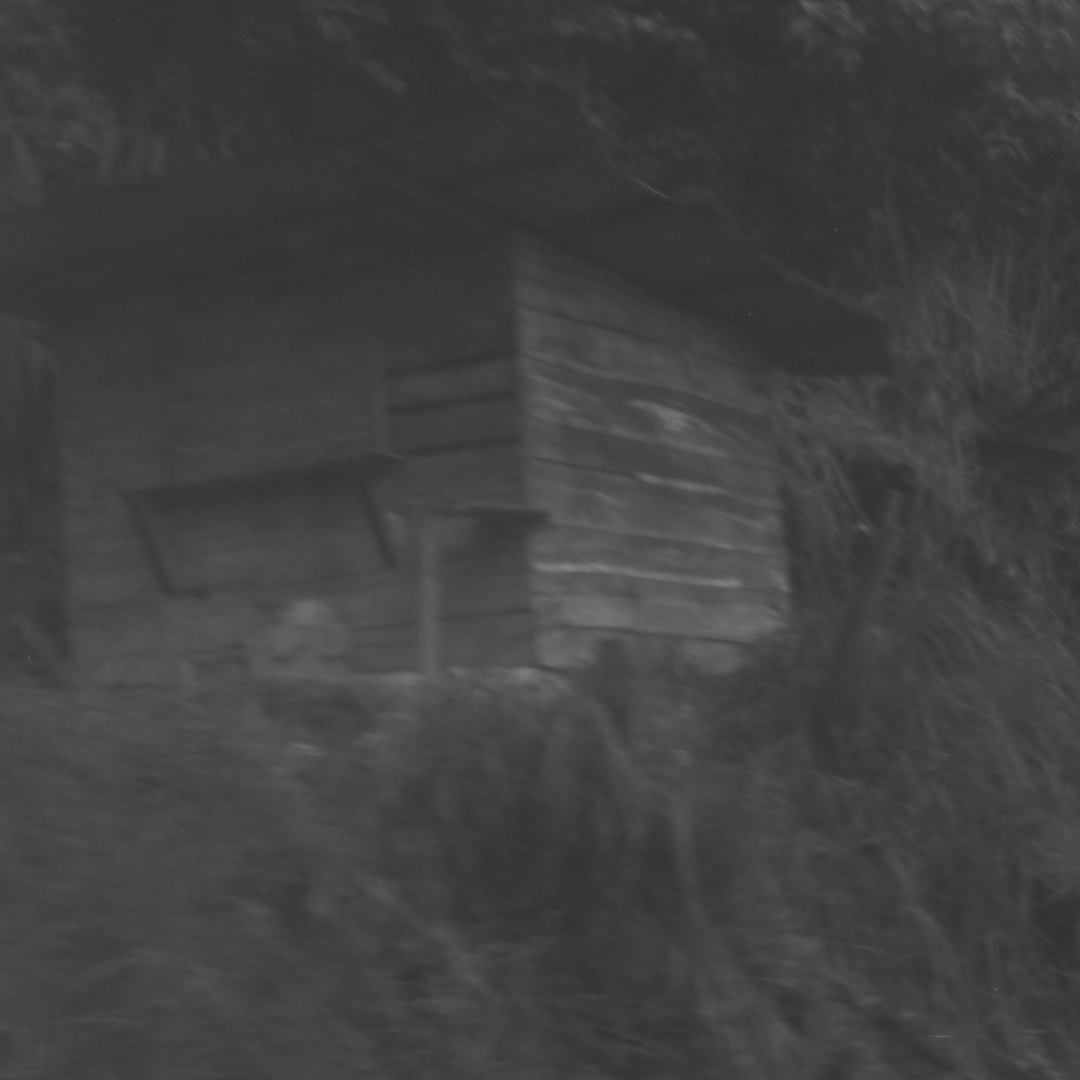 Cabaña de madera rústica en blanco y negro rodeada de vegetación.