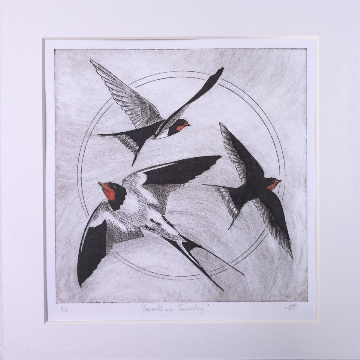 Hand-pulled etching titled Swallows Swirling featuring three barn swallows in flight with a circular backdrop.