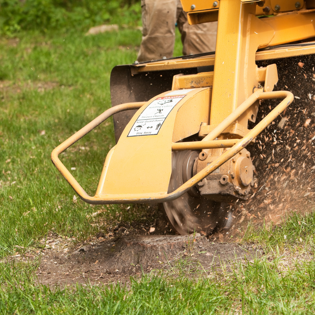 burnham tree services stump grinding