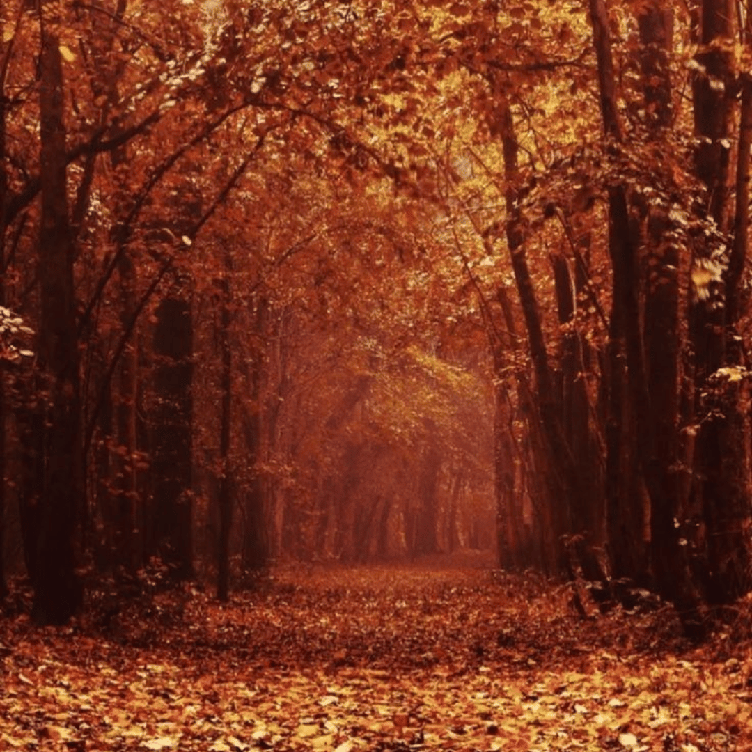 2. Reflect on Change and Renewal