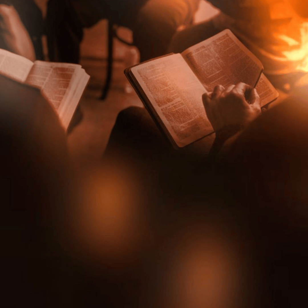 The New Testament Perspective