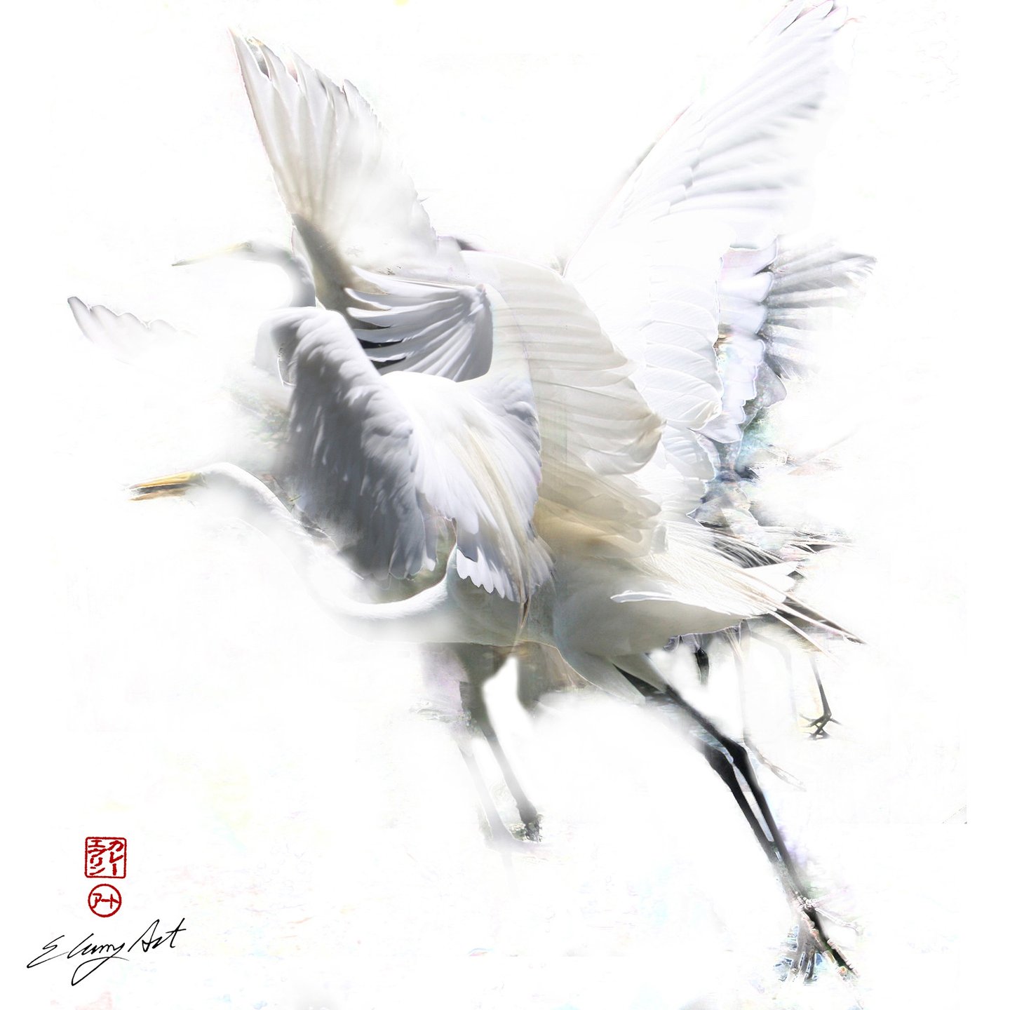 digital photo montage print, collage photography, bird, crane, white