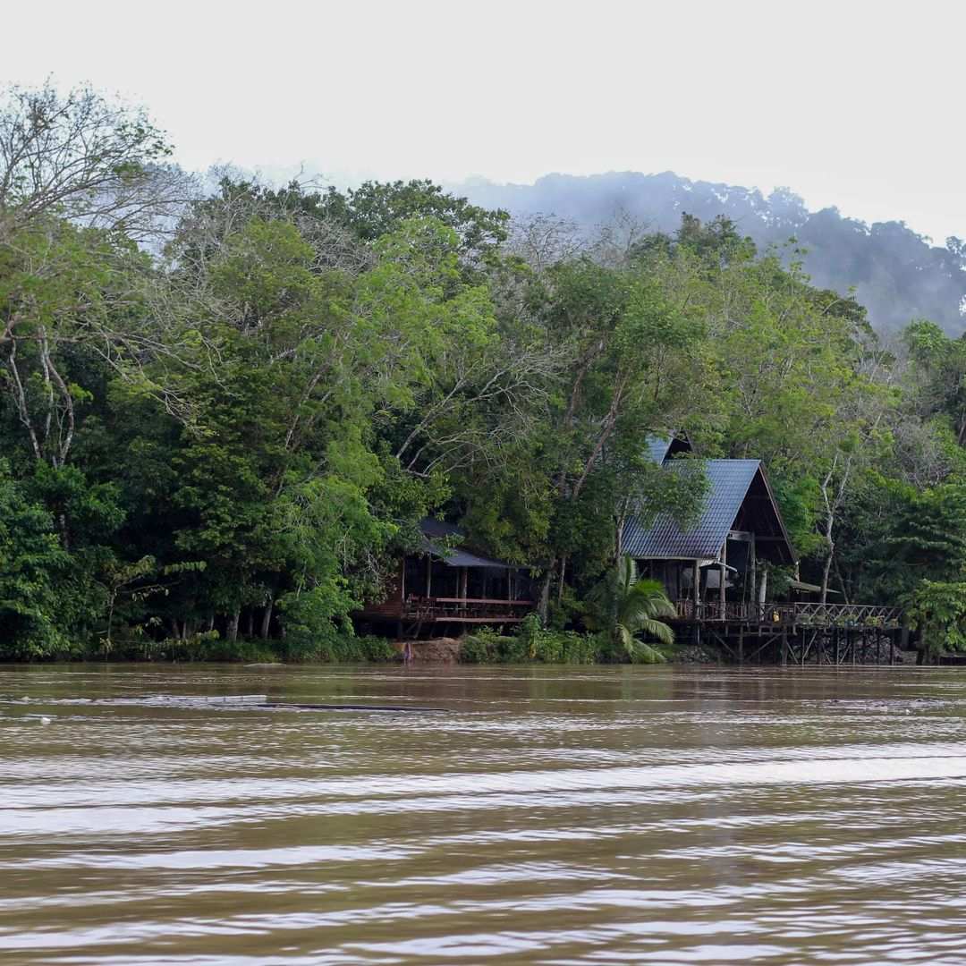 Borneo Natural Sukau Bilit Resort, Kinabatangan, Sabah