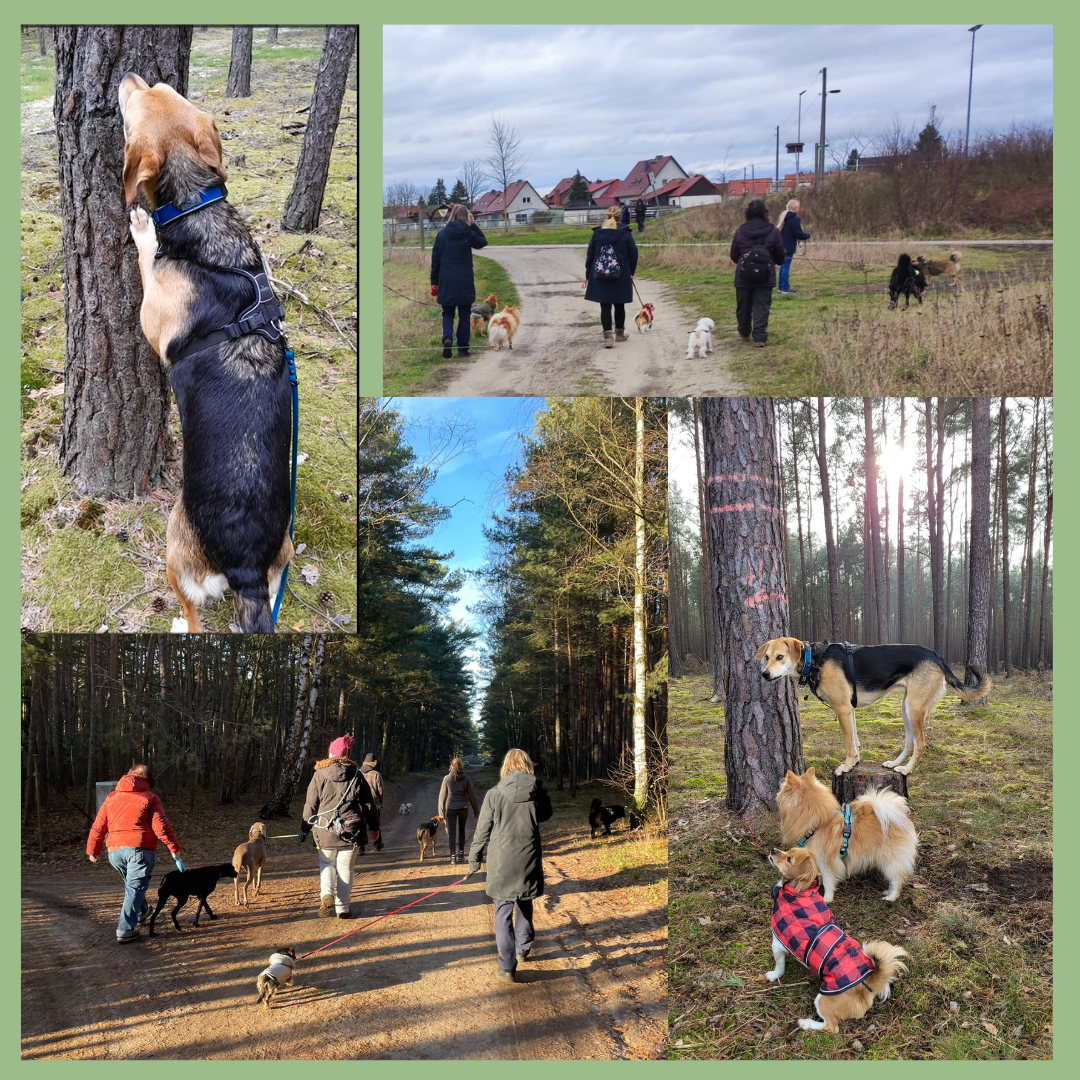 Gruppenspaziergang Borkheide, Brück, Kloster Lehnin, Werder/Havel, Beelitz, Treuenbrietzen,