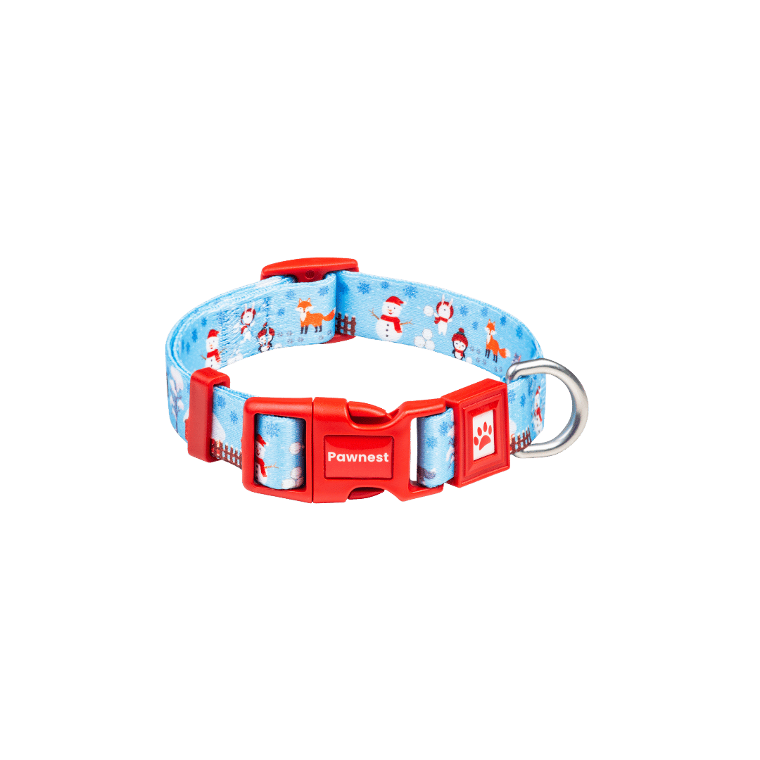 Pawnest® Frosty Friends dog collar – red buckle winter design with snowman print, recycled strap.