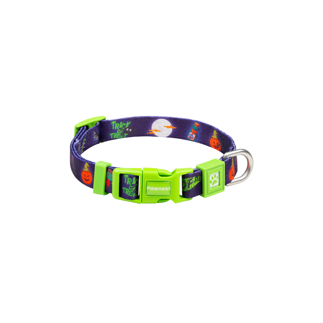 Pawnest® Spoo-Woofy dog collar – Halloween-themed green buckle, durable and stylish.