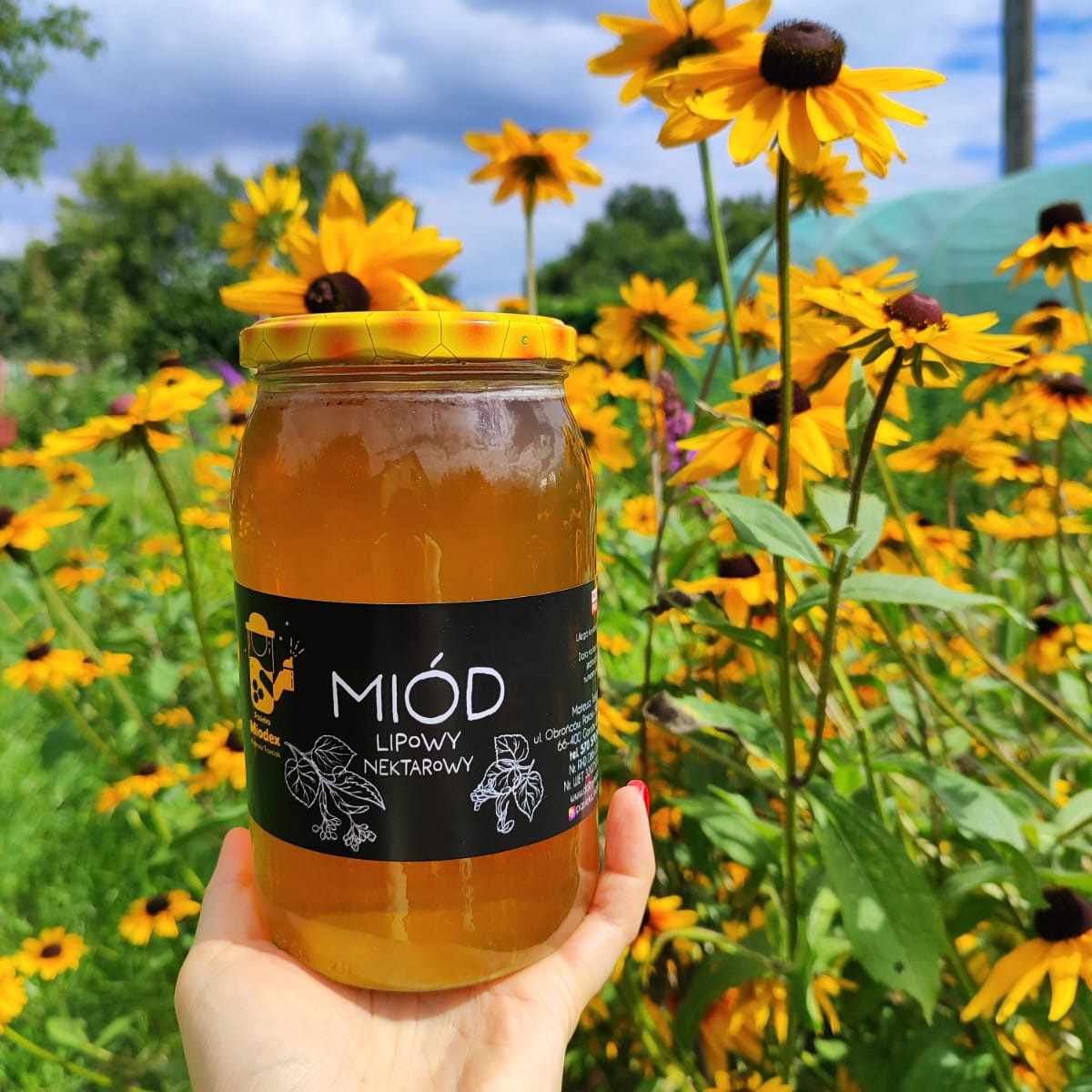 Produkkty pszczele, miód, pyłek pszczeli, propolis z pasieki w Gorzowie Wlkp.