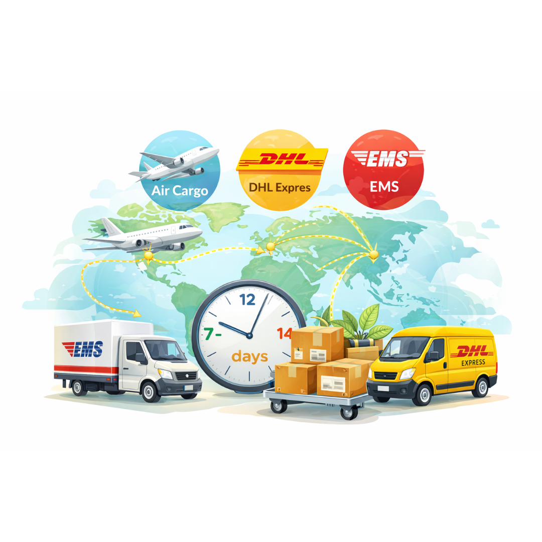 Illustration of worldwide Hoya plant shipping showing countries, DHL, EMS, air cargo, and delivery t