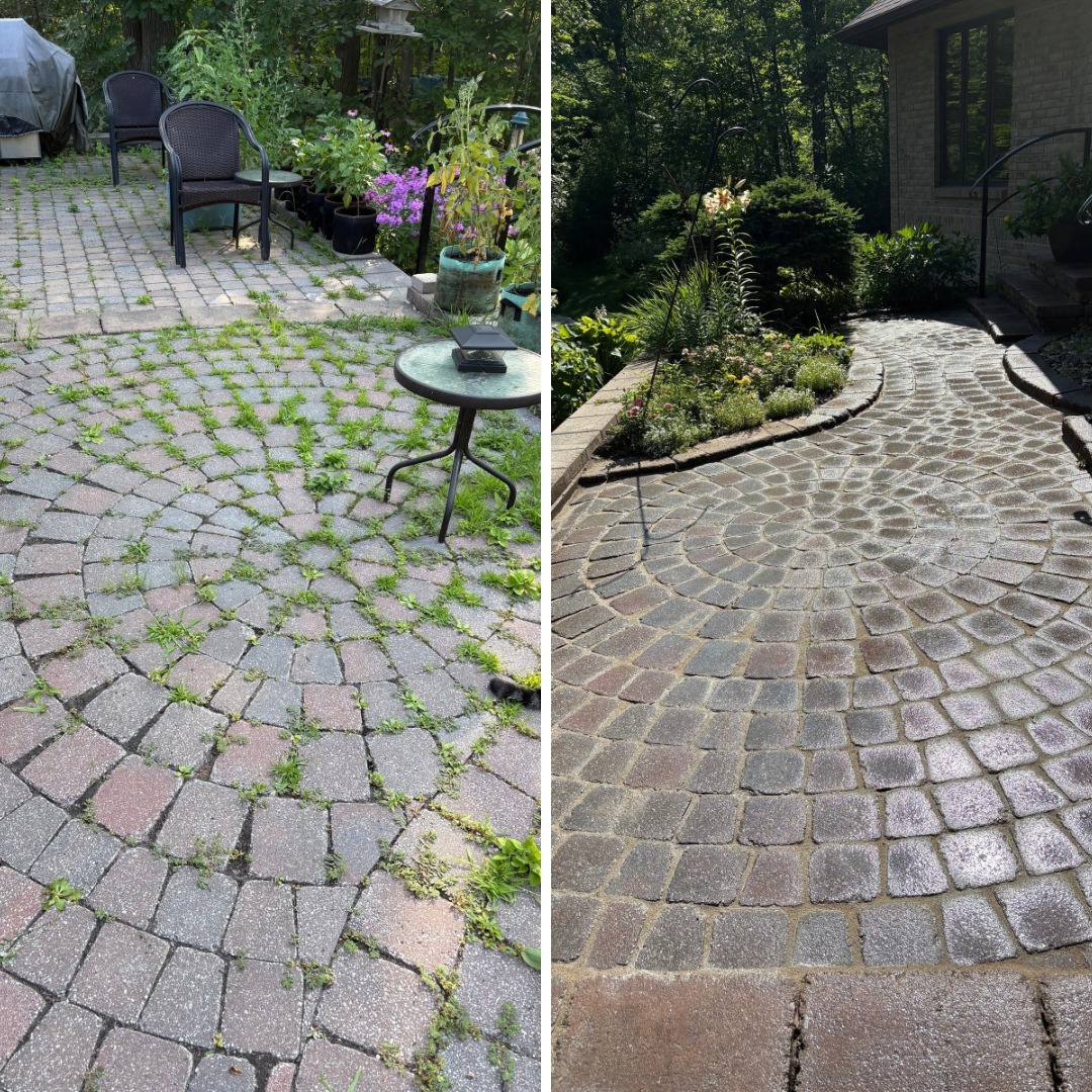 Before and after of interlocking stone repair with industrial power washing and polymeric sand.